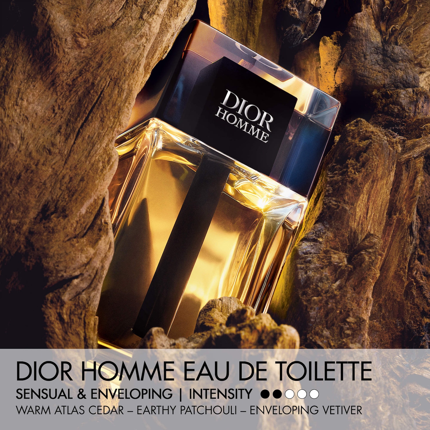 Homme Eau de Toilette - Dior | Sephora