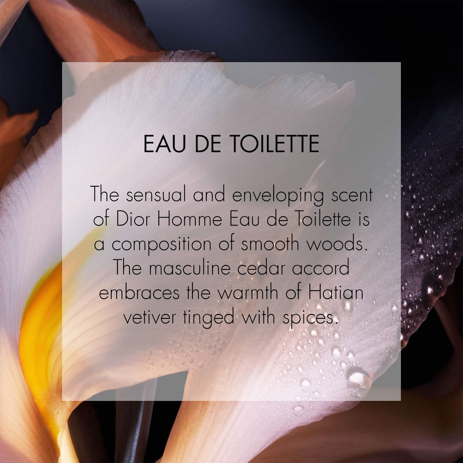 Homme Eau de Toilette - Dior | Sephora