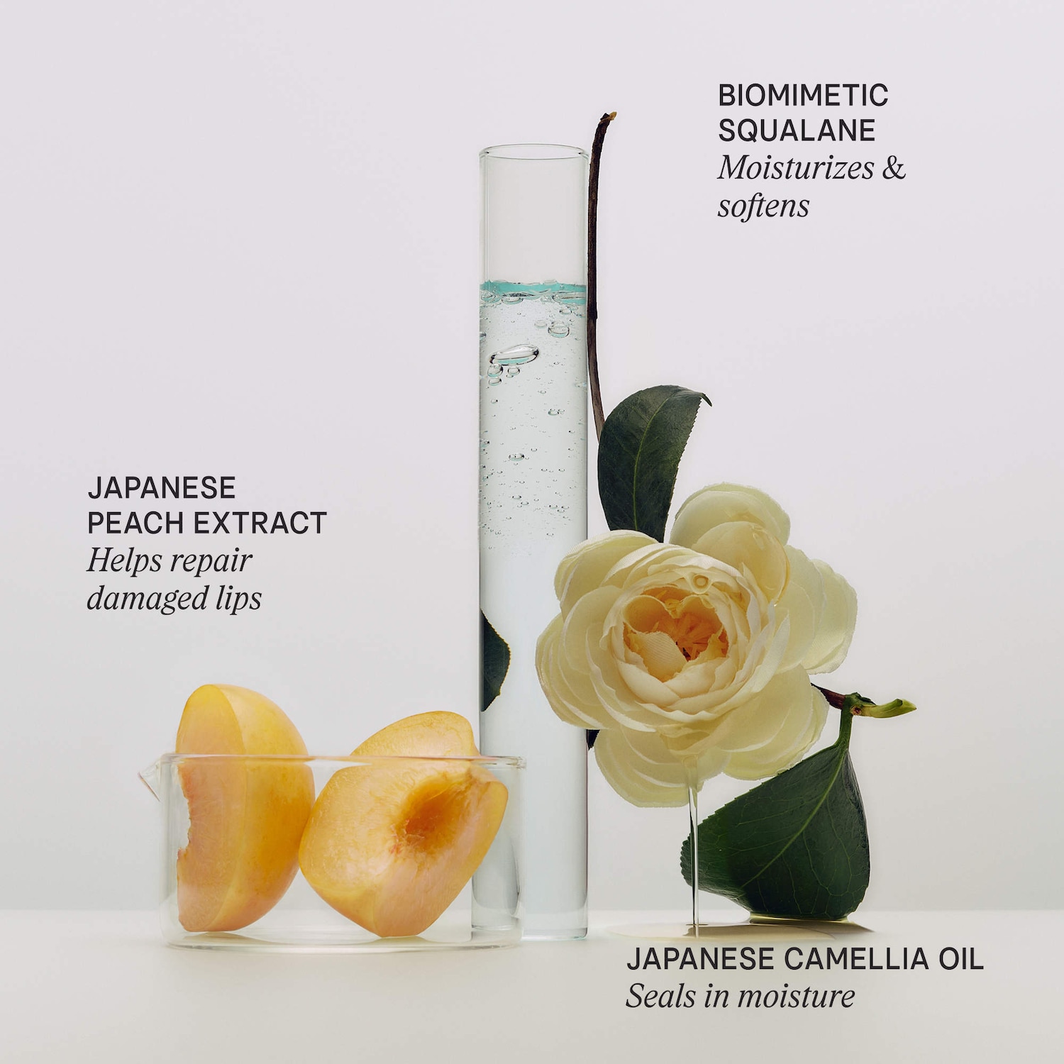 The Kissu Hydrating & Plumping Lip Mask