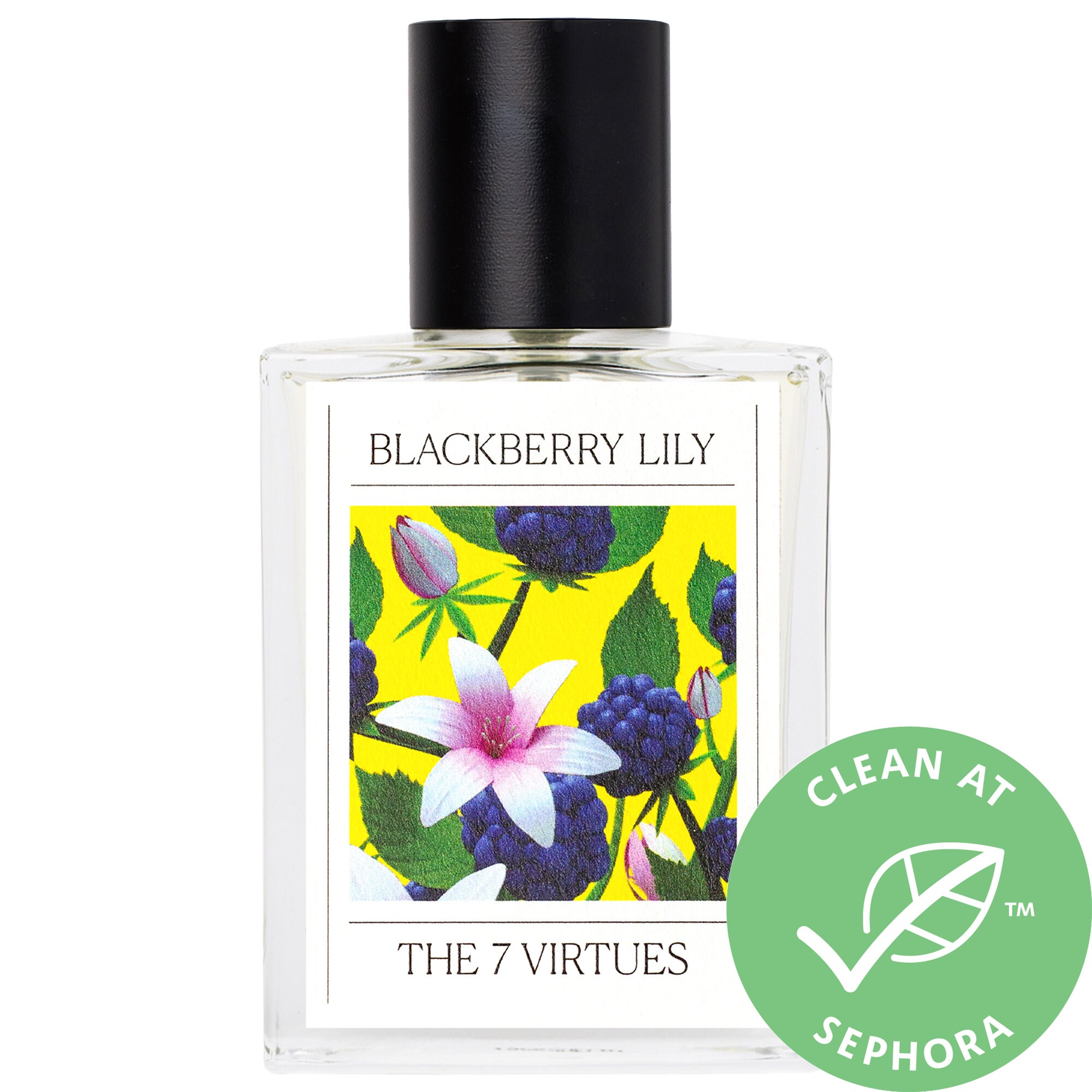 Blackberry Lily Flower Essence Best Flower Site