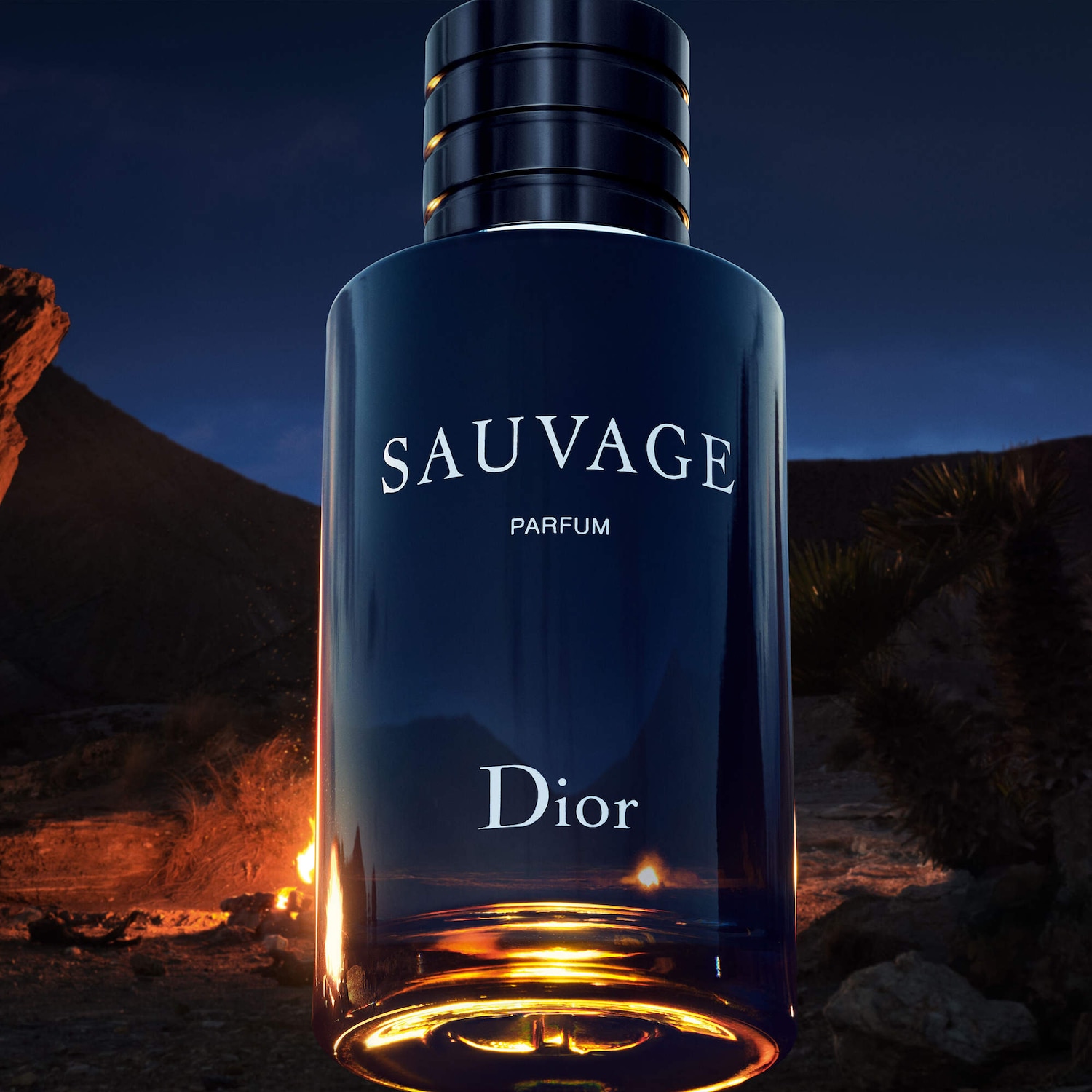 Sauvage Parfum - Dior | Sephora