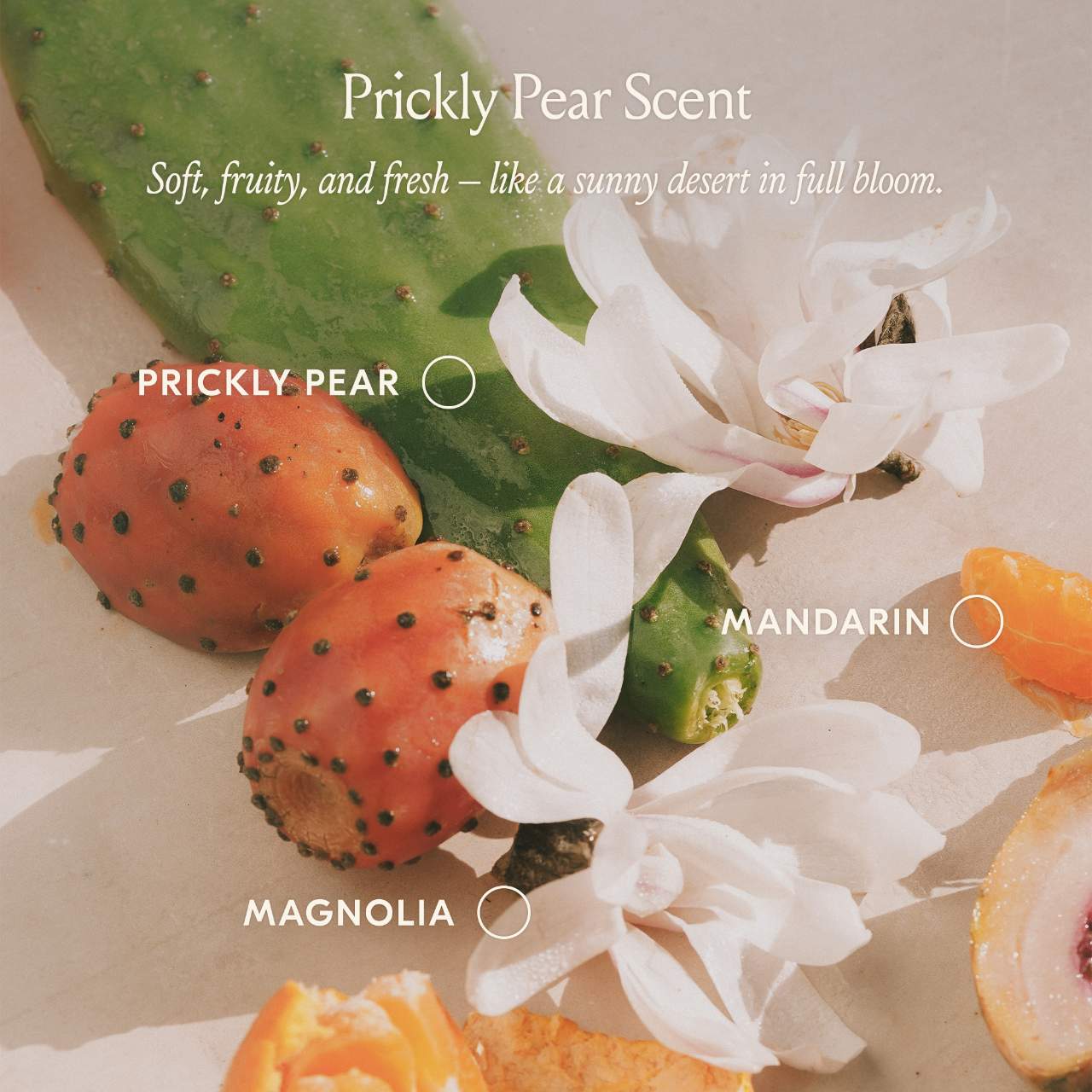 Масло для волос dae Prickly Pear — фото 7