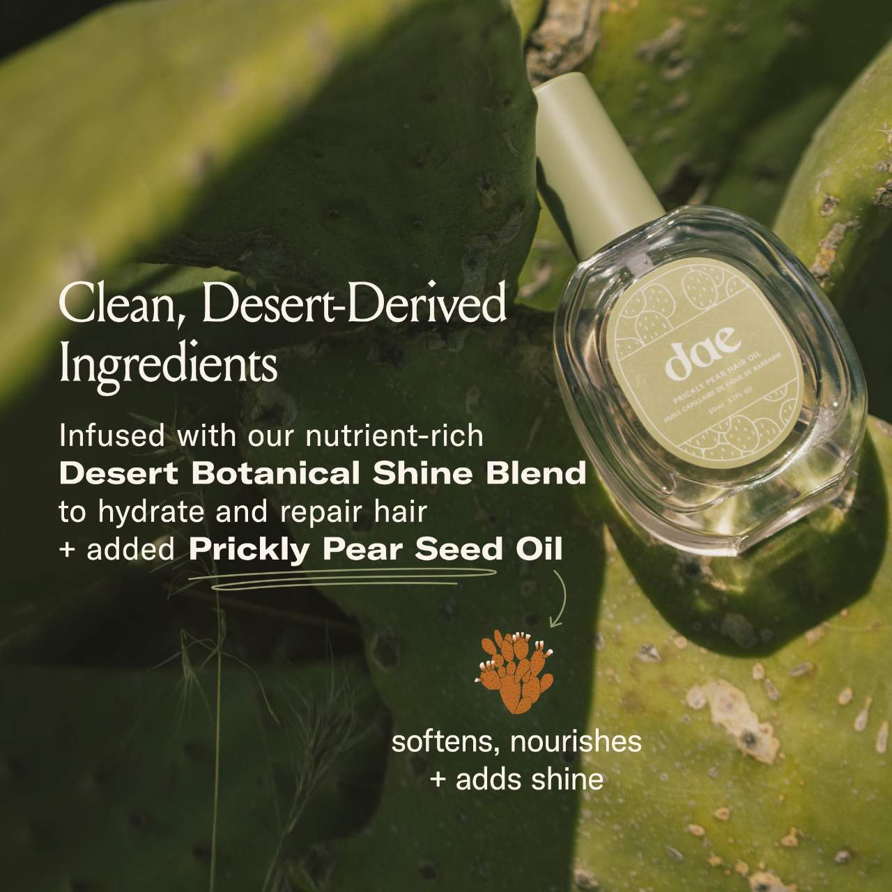 Масло для волос dae Prickly Pear — фото 8