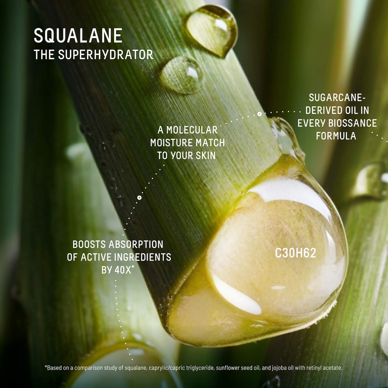 10% Vitamin C Dark Spot Serum + Squalane