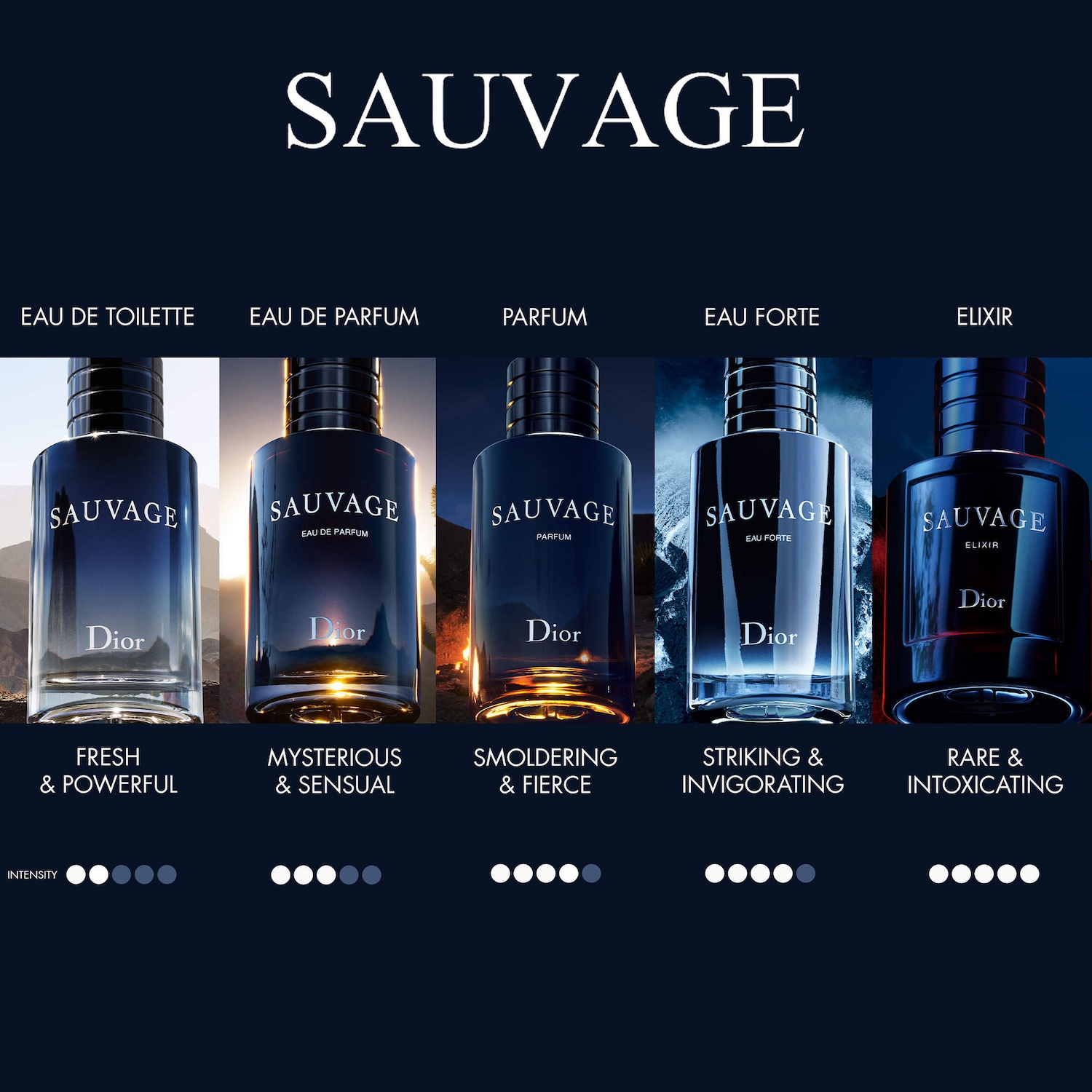 Sauvage Eau de Toilette - Dior | Sephora