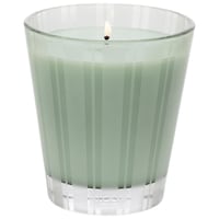 NEST New York - Wild Mint & Eucalyptus Candle