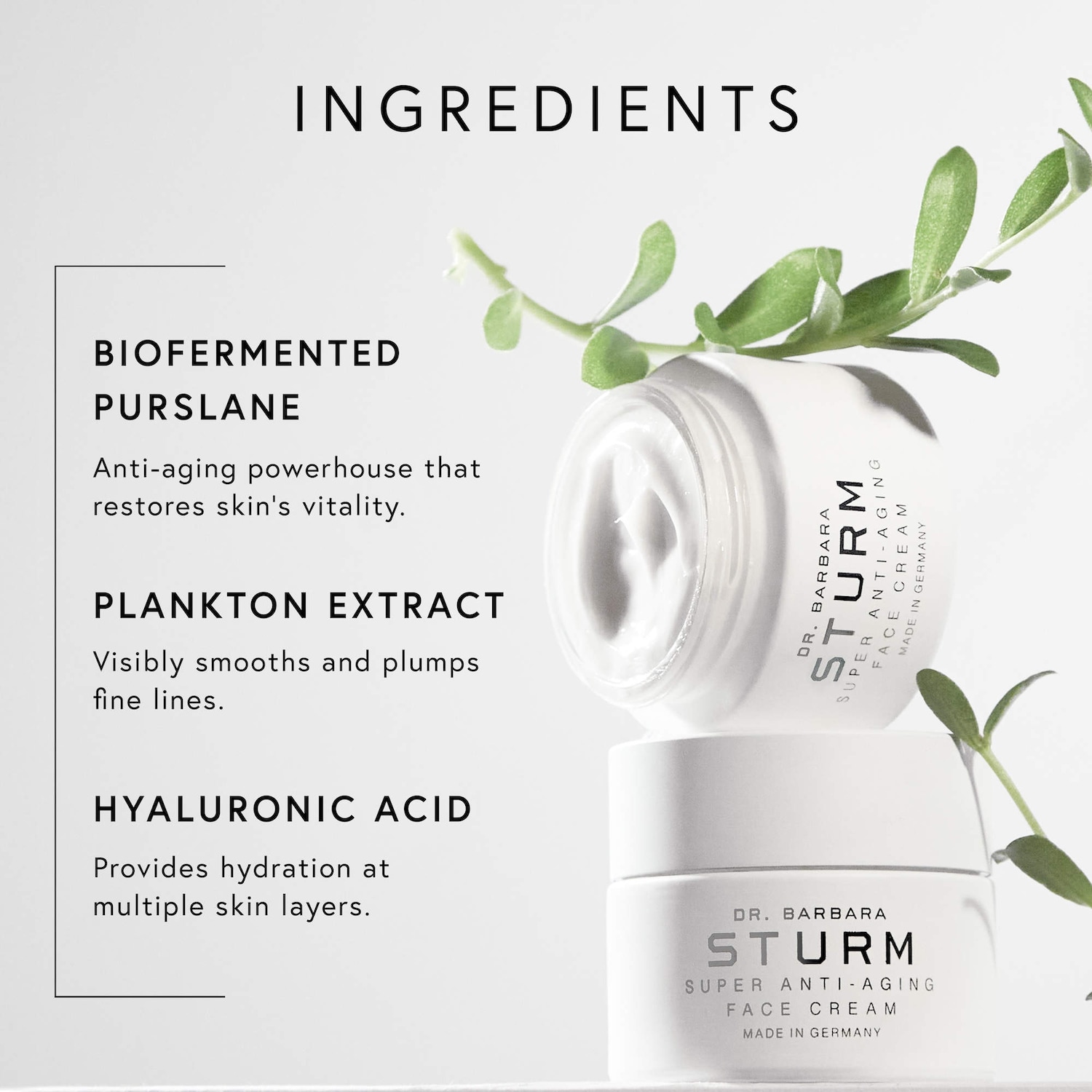 Super Anti-Aging Face Cream - Dr. Barbara Sturm | Sephora