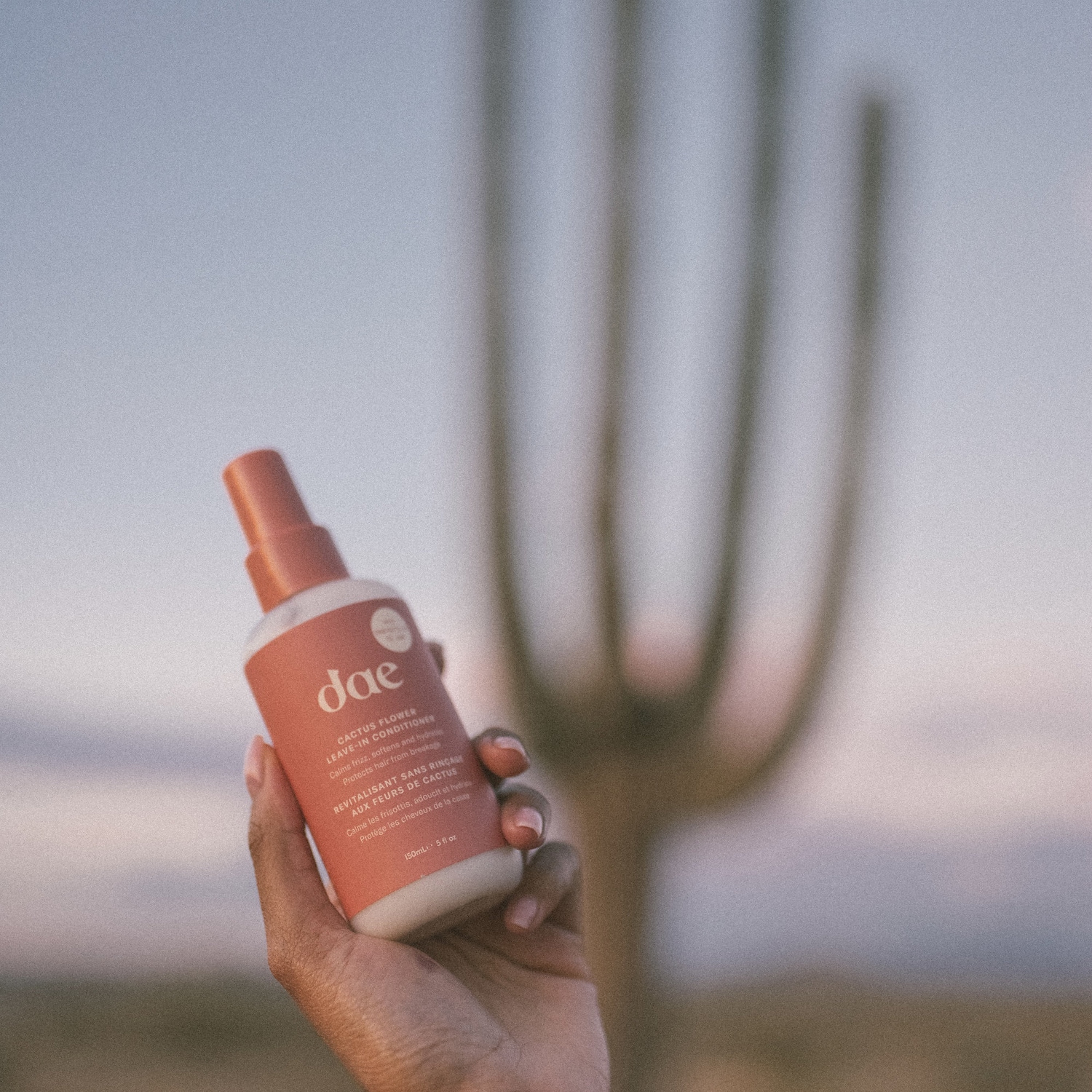 Dae Cactus Flower Leave In Conditioner Big Apple Buddy