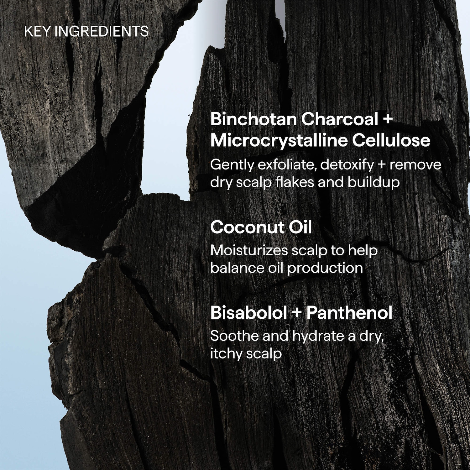 Shampoing micro-exfoliant charbon et huile de coco pour cuir chevelu Scalp Revival™