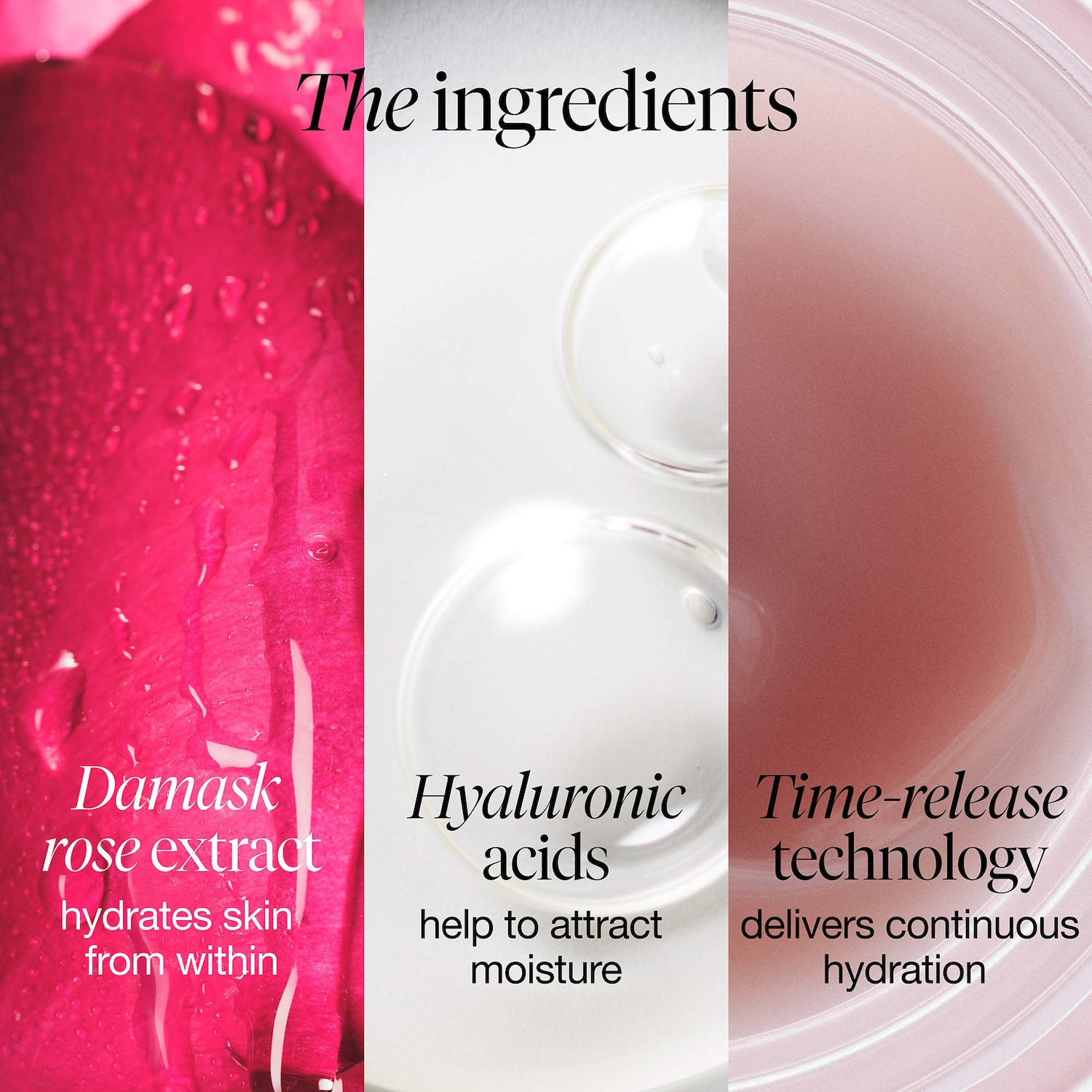 Rose & Hyaluronic Acid Deep Hydration Moisturizer