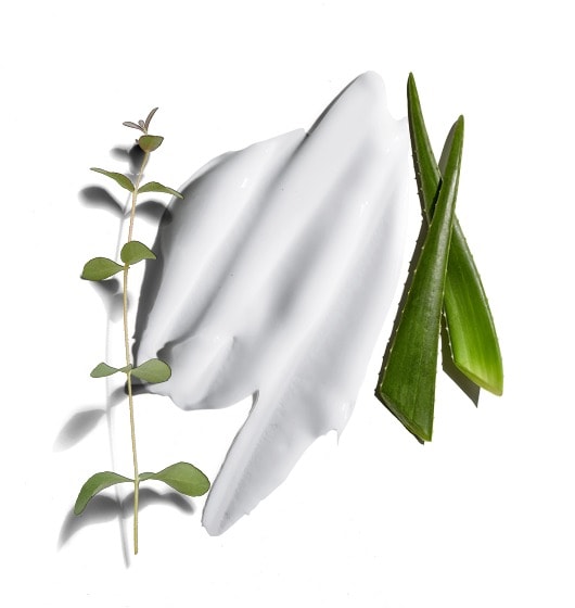 Turbo Body Lotion™ Energizing Gel Moisturizer with Eucalyptus and Aloe​ thumbnail 4