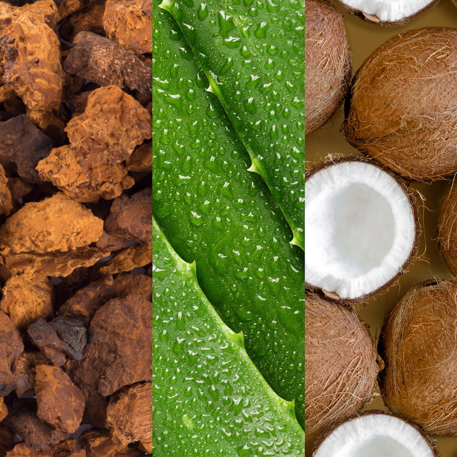 Vaporisateur pour le visage Adaptogen avec aloès et eau de noix de coco