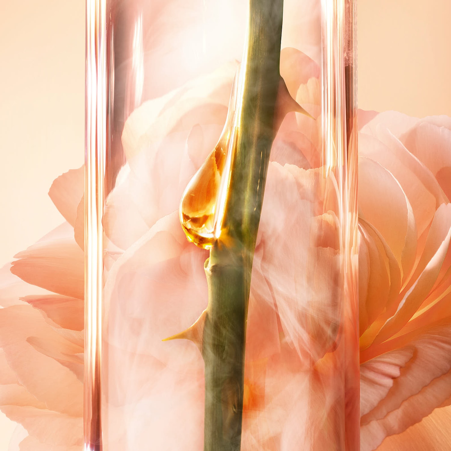 Absolue Serum - Lancôme | Sephora