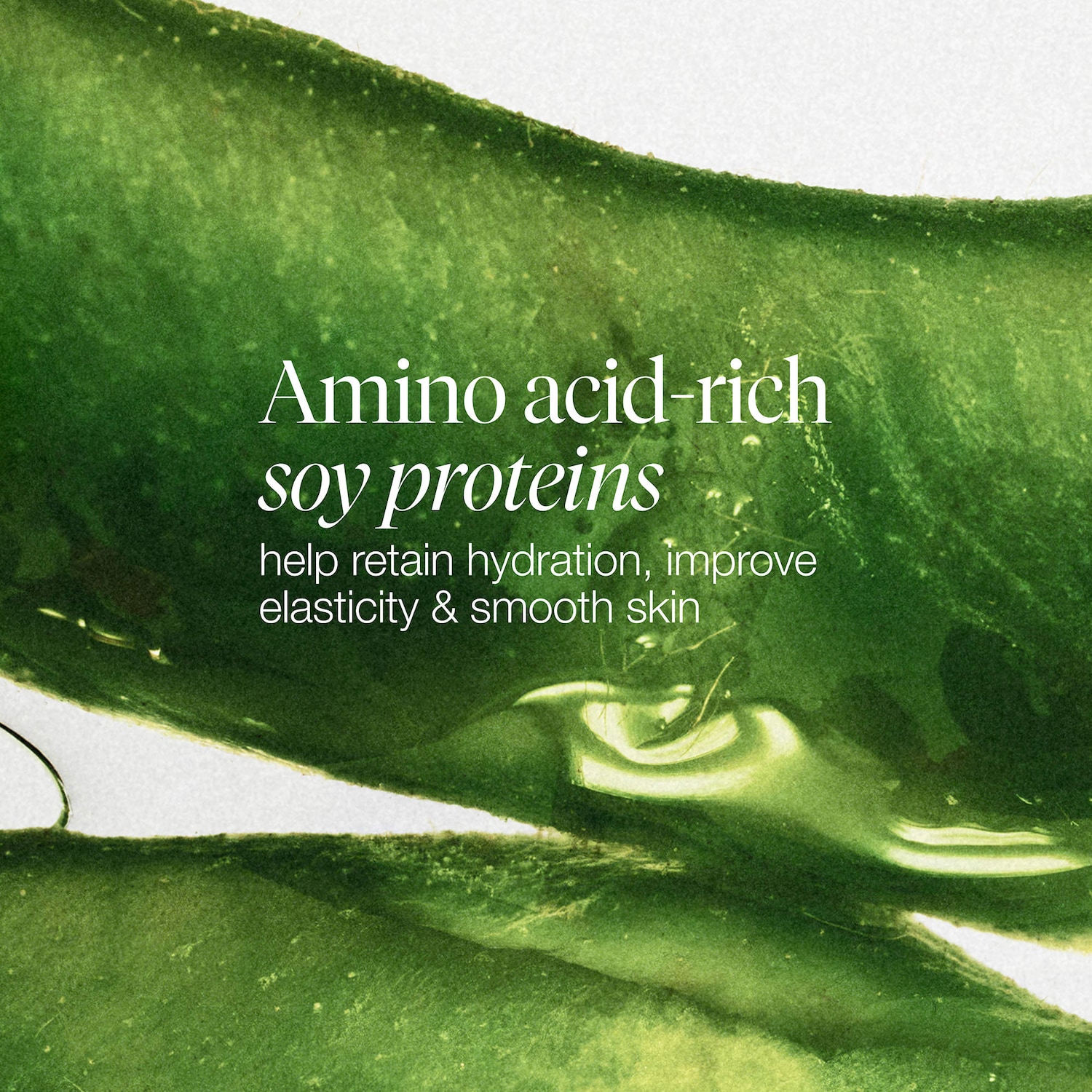 Mini Soy pH-Balanced Hydrating Face Wash