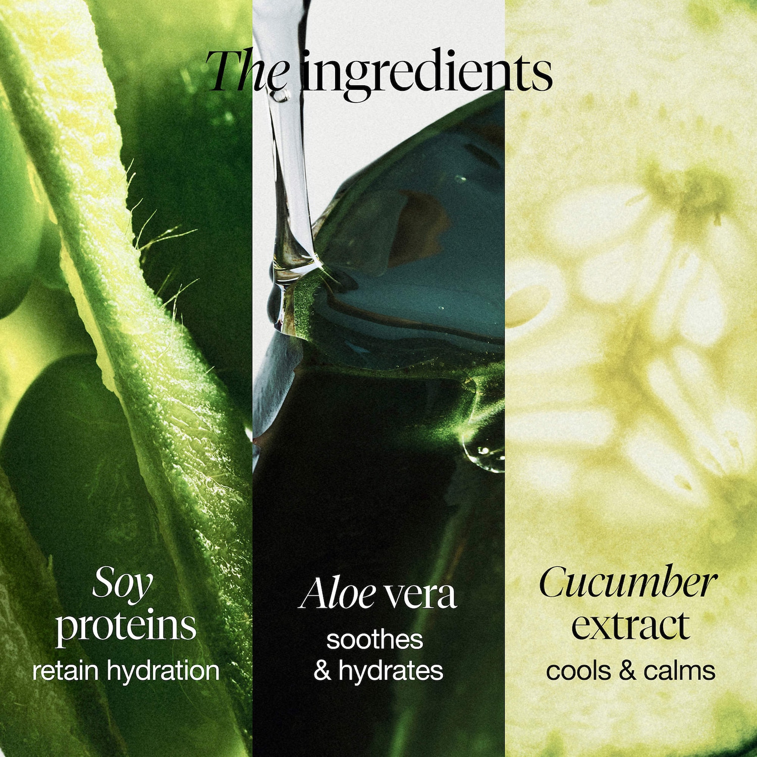 Mini Soy pH-Balanced Hydrating Face Wash