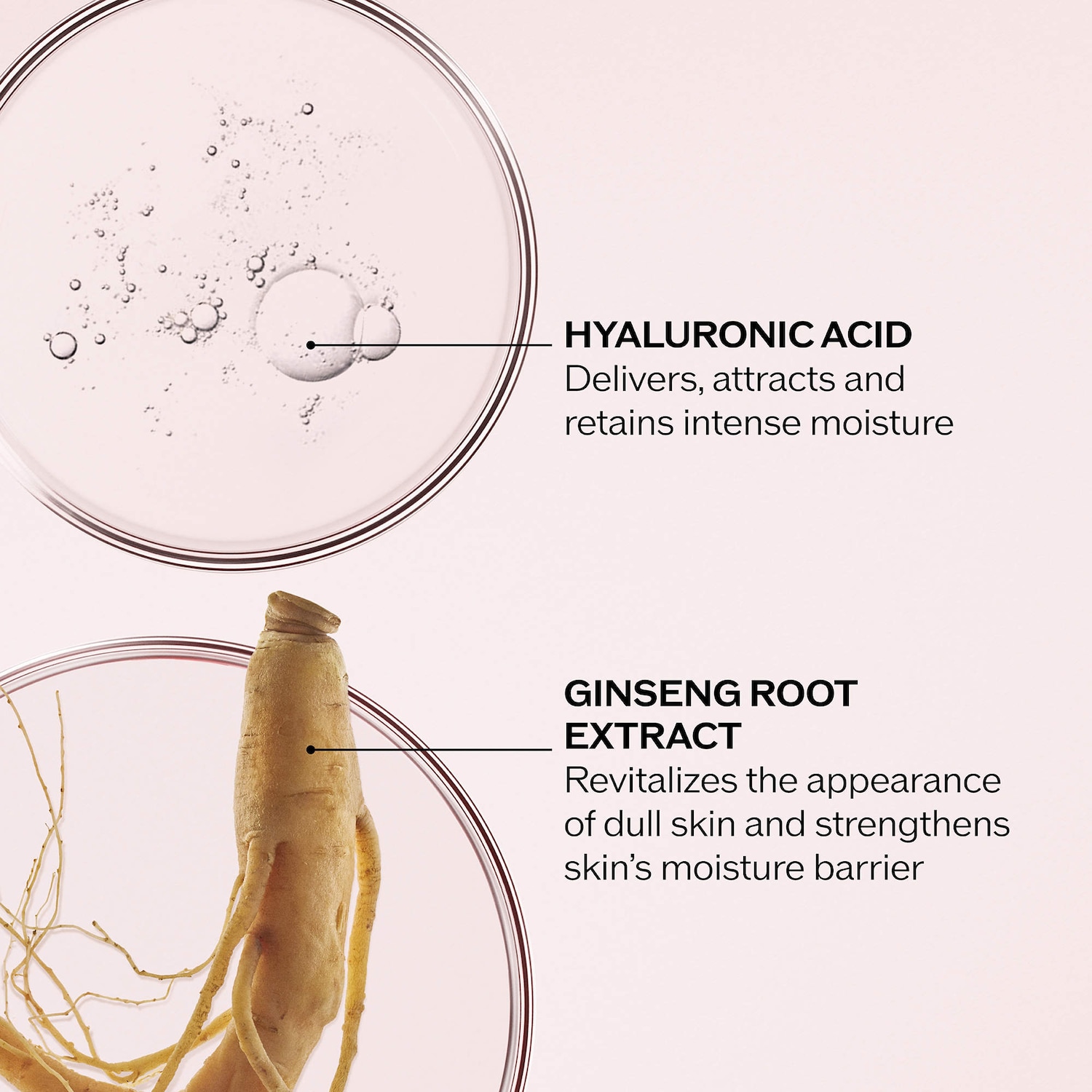 Essential Energy Hydrating Cream - Shiseido | Sephora
