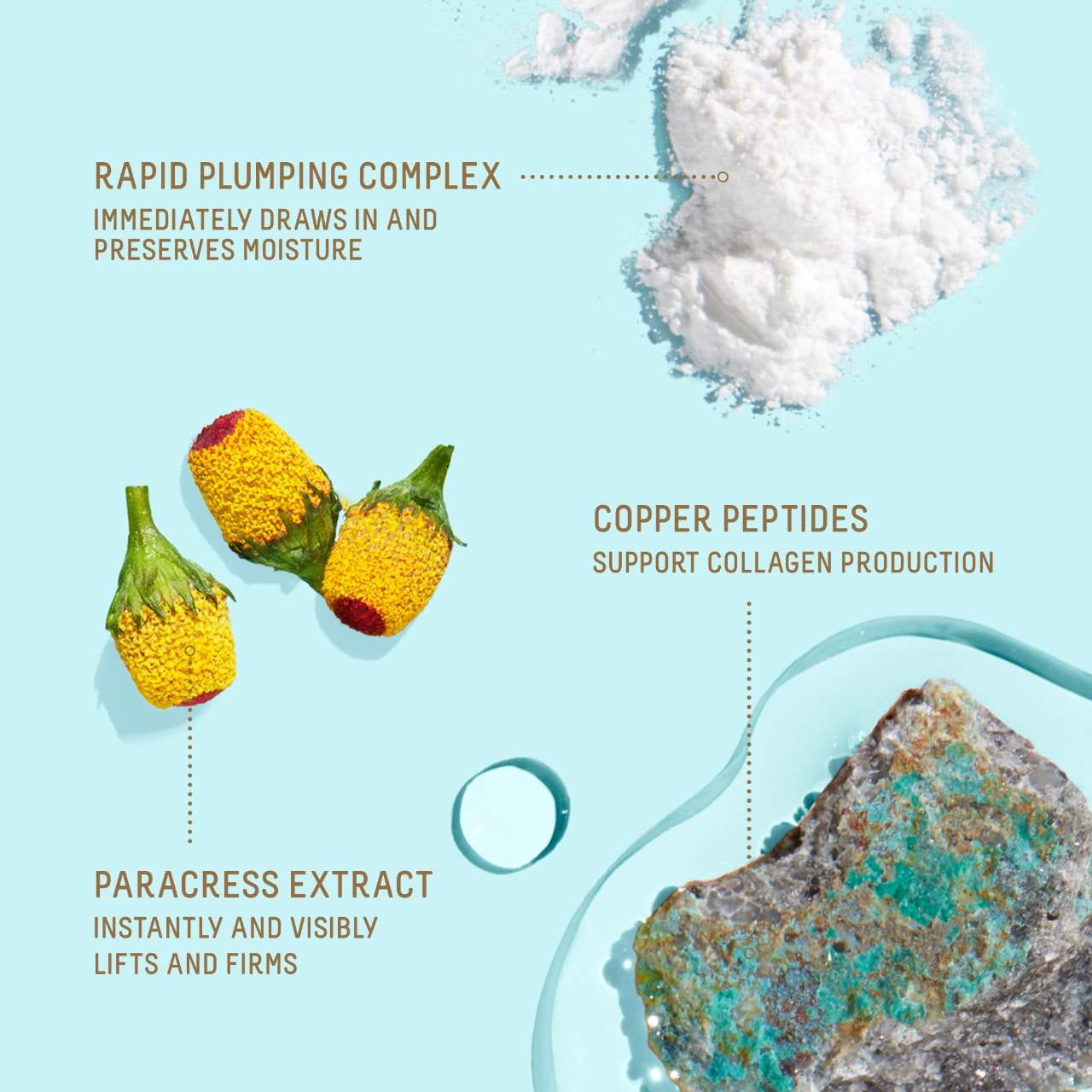 Squalane + Copper Peptide Rapid Plumping Serum - Biossance | Sephora