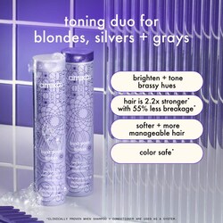 Bust Your Brass Blonde Purple Conditioner - amika | Sephora