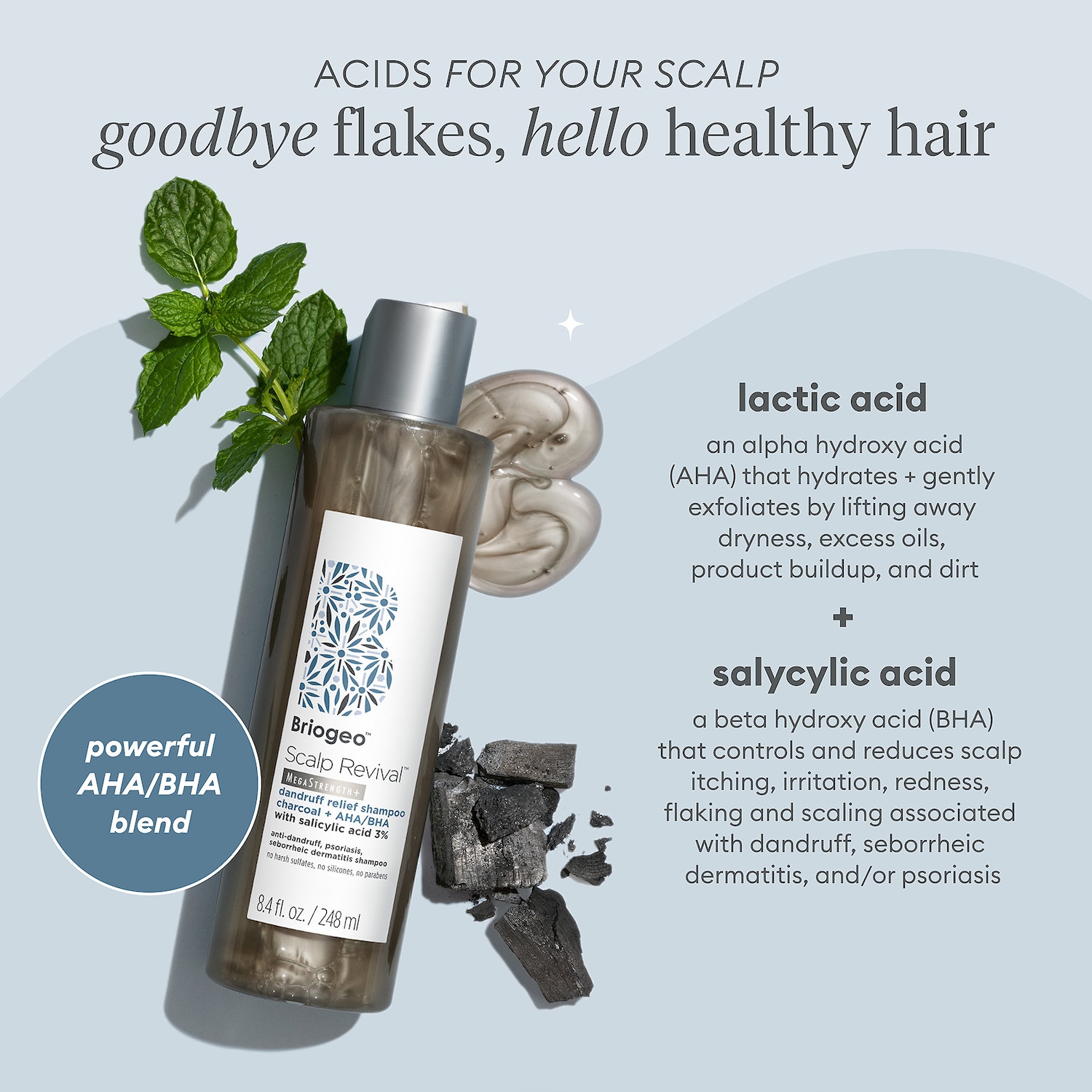Briogeo Scalp Revival™ Dandruff Relief Charcoal Shampoo Pacific City