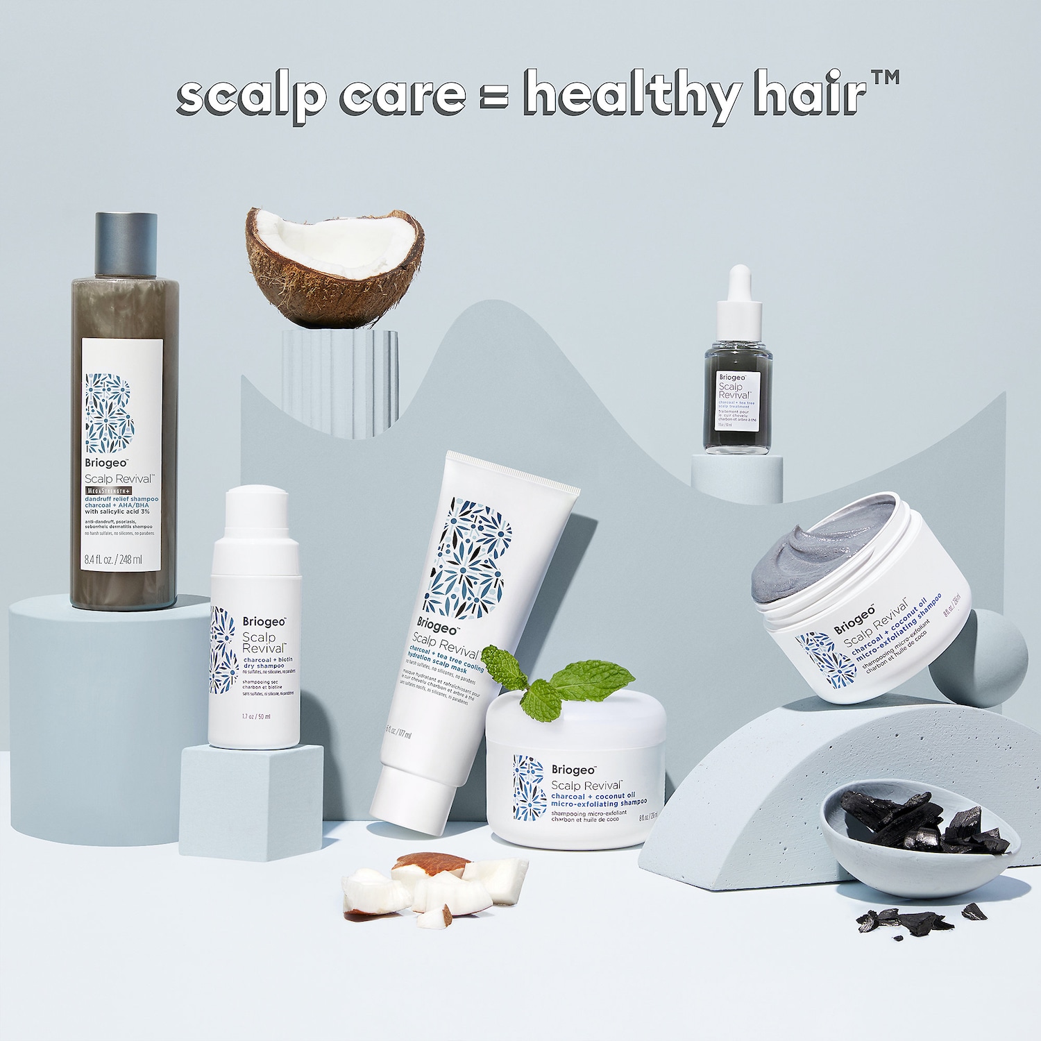 Briogeo Scalp Revival™ Dandruff Relief Charcoal Shampoo The Summit