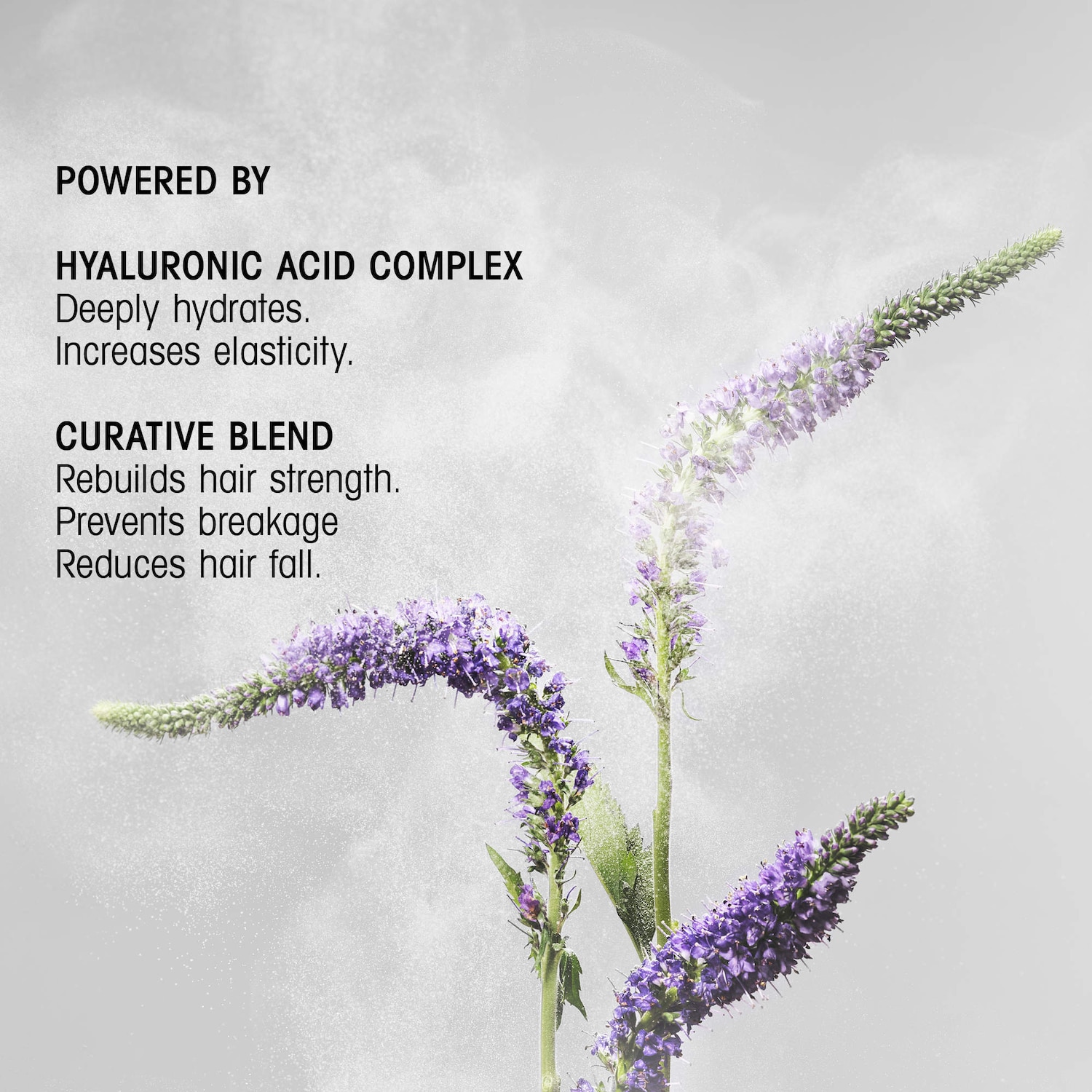 Hair Alchemy Strengthening Conditioner