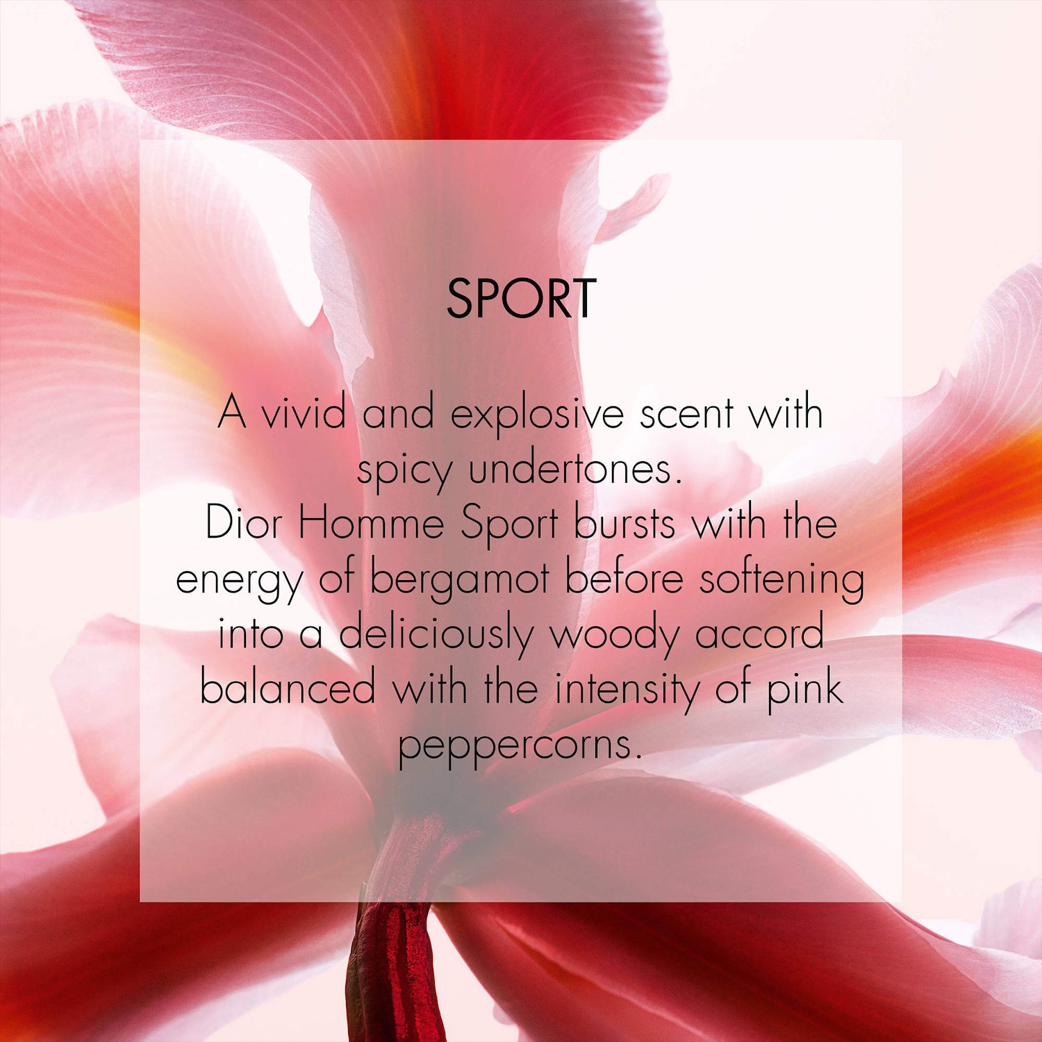 Dior Homme Sport - Dior | Sephora