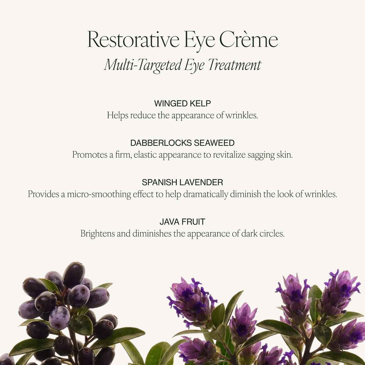 Restorative Anti-Aging Refillable Eye Cream for Dark Circles and Brightening