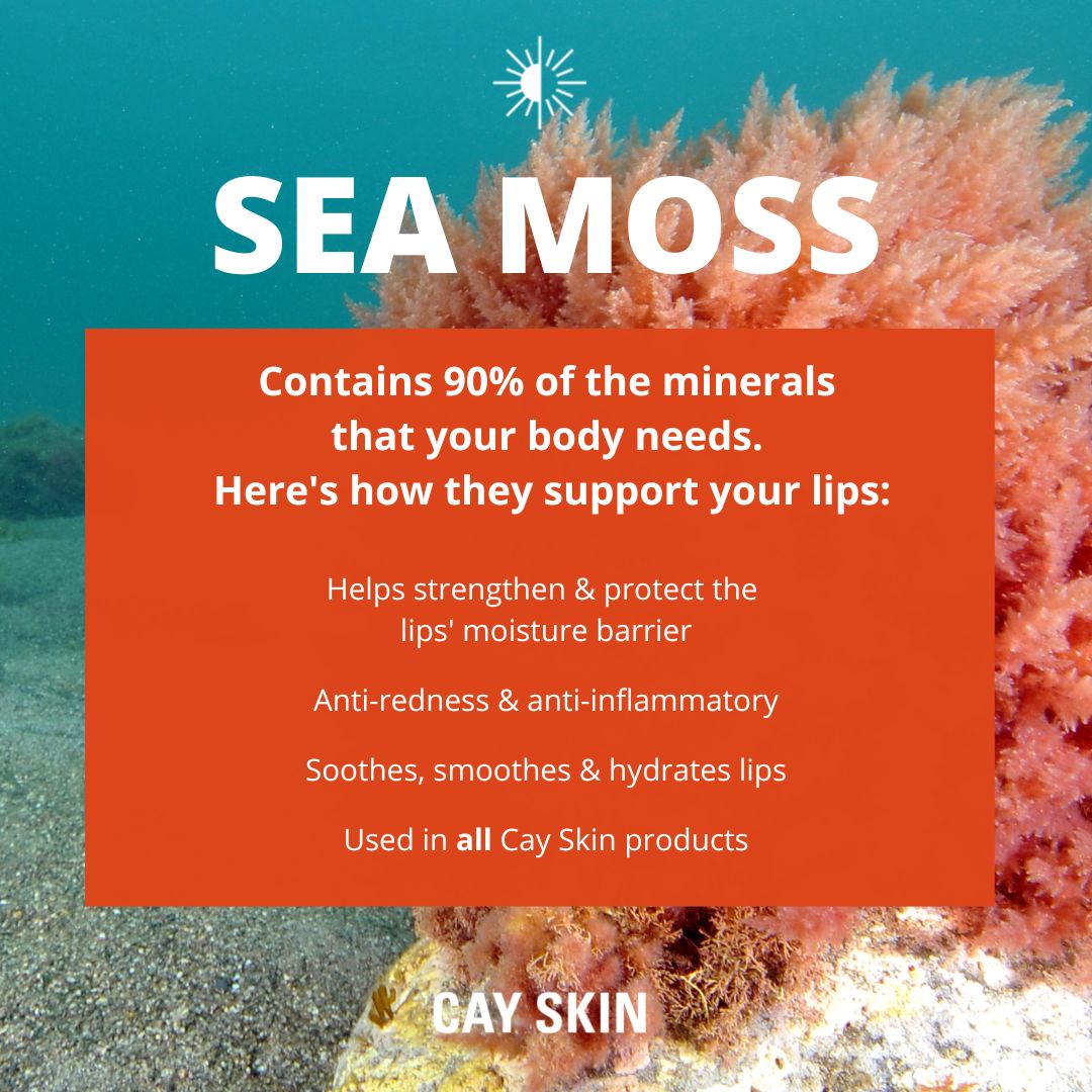 CAY SKIN Isle Lip Balm SPF 30 with Sea Moss and Aloe Stem Cells