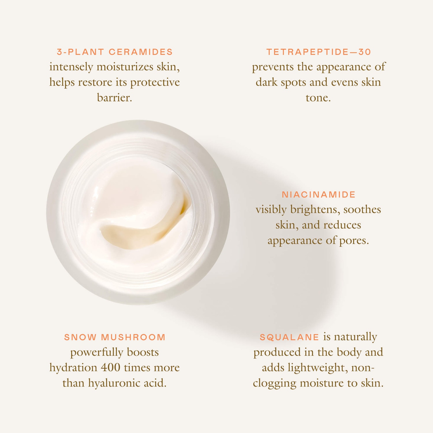 Cloud Cushion Dewy Plumping Cream - Ceramide & Peptide-Rich for Supple, Radiant Skin