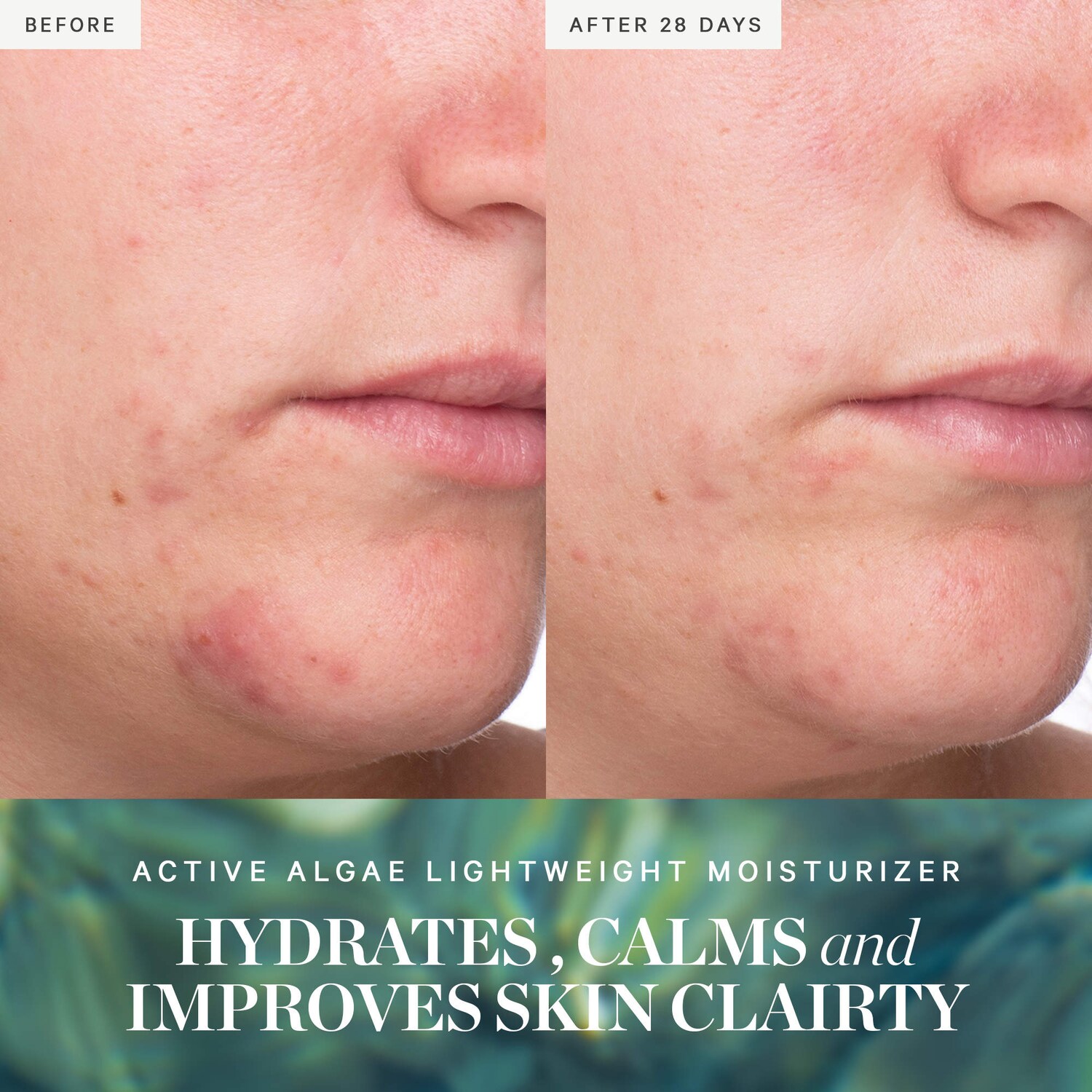 Active Algae Lightweight Refillable Moisturizer