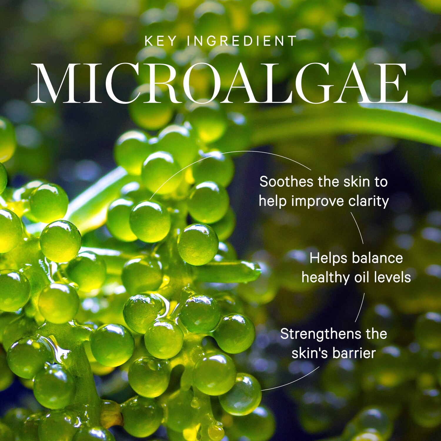 Active Algae Lightweight Refillable Moisturizer