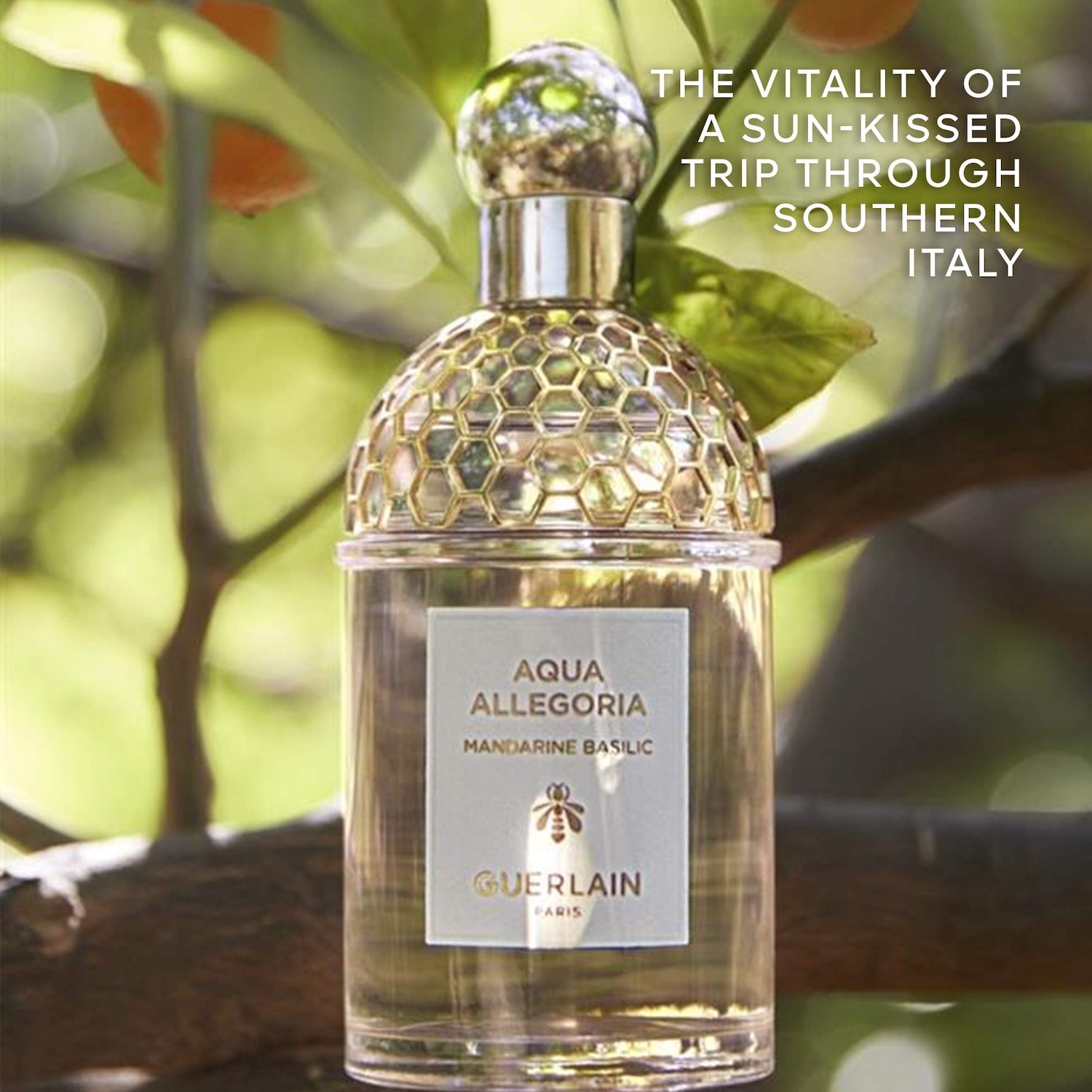 Aqua Allegoria Mandarine Basilic Eau de Toilette - GUERLAIN | Sephora