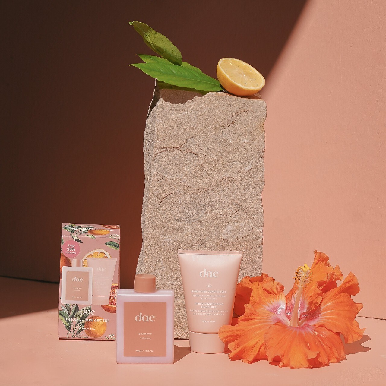 Dae Mini Signature Shampoo & Conditioner Hair Set The Summit