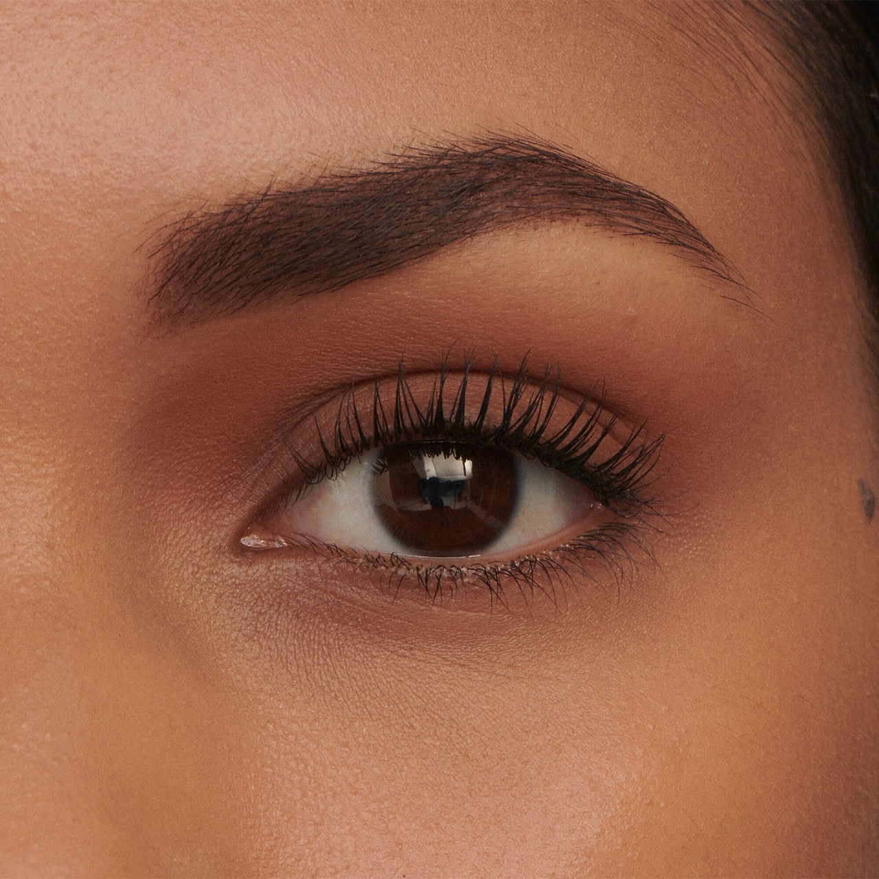 Tinted Volumizing Eyebrow Gel