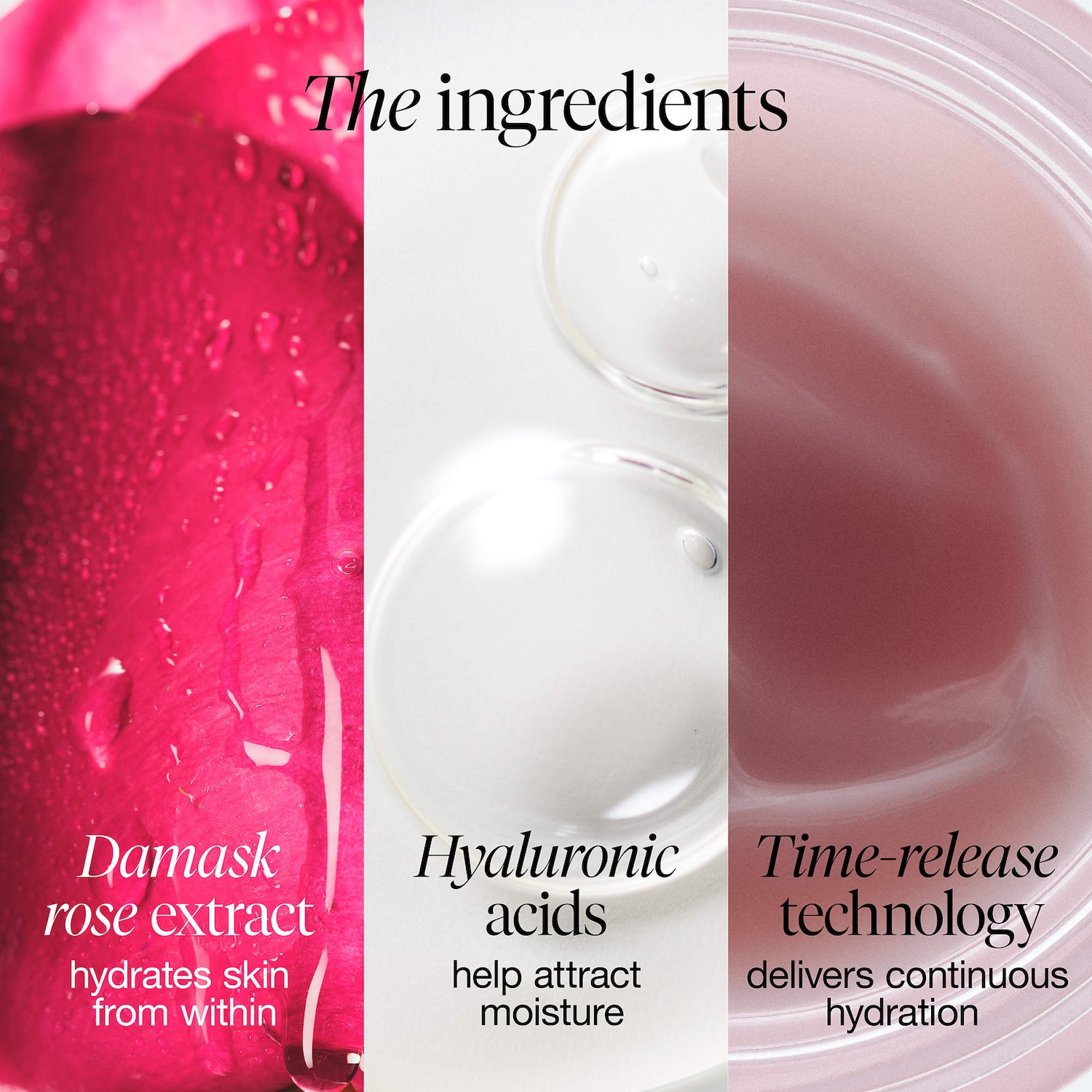 Rose & Hyaluronic Acid Deep Hydration Moisturizer