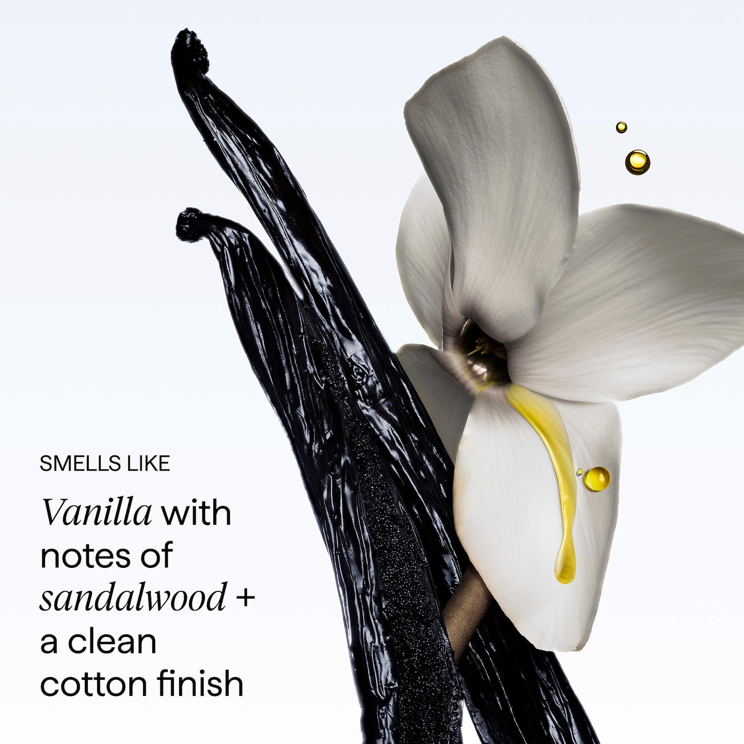 Destined For Density™ Peptide Shampoo for Thicker, Fuller Hair