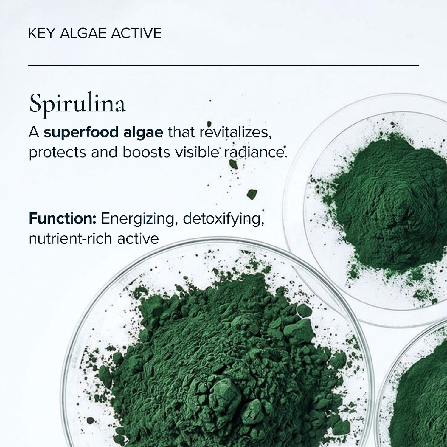 Algae Enzyme Cleansing Oil Makeup Remover with Chia + Moringa