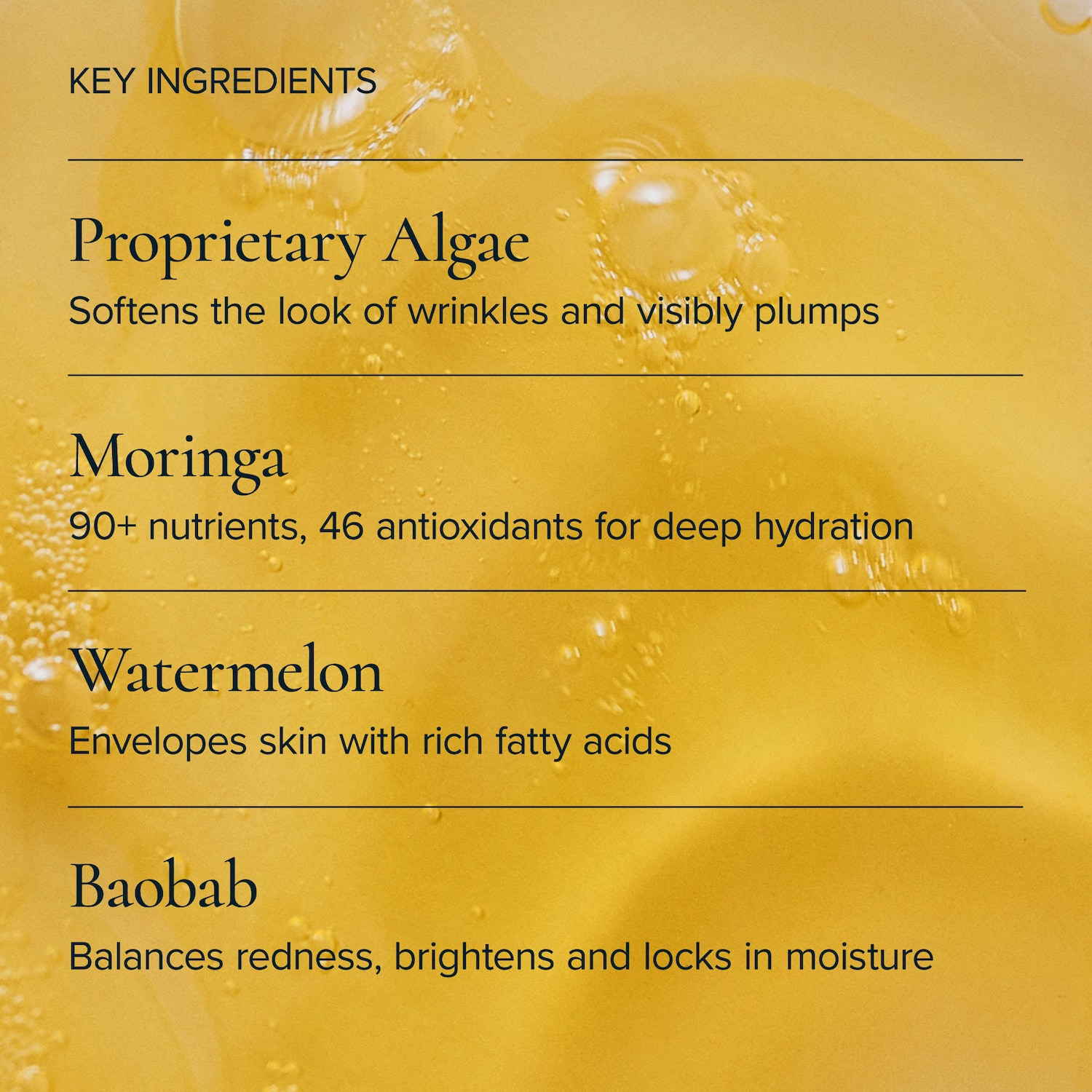 Universal Hydrating Face Oil for Anti-Aging and Glow with Algae + Moringa