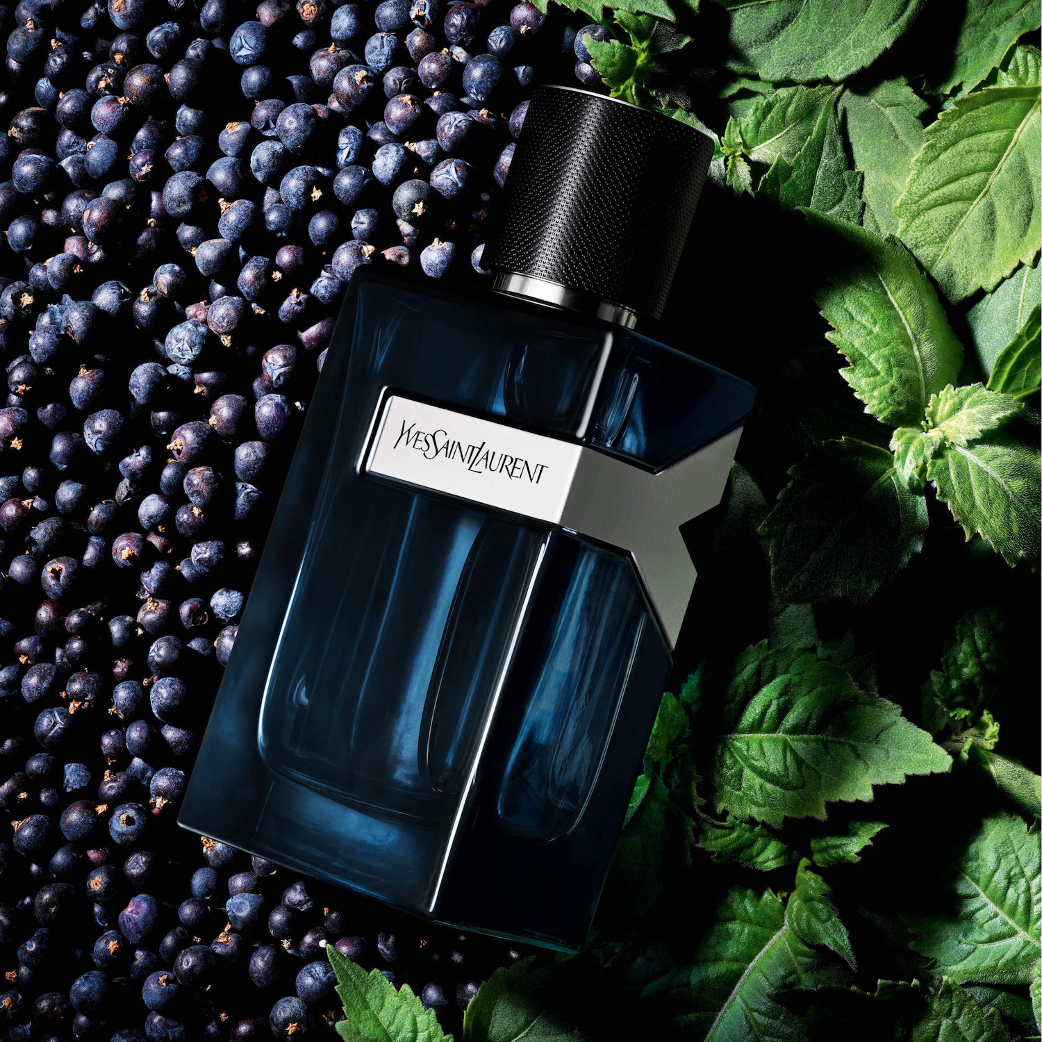 Y Eau de Parfum Intense with Spicy Juniper Berries & Fresh