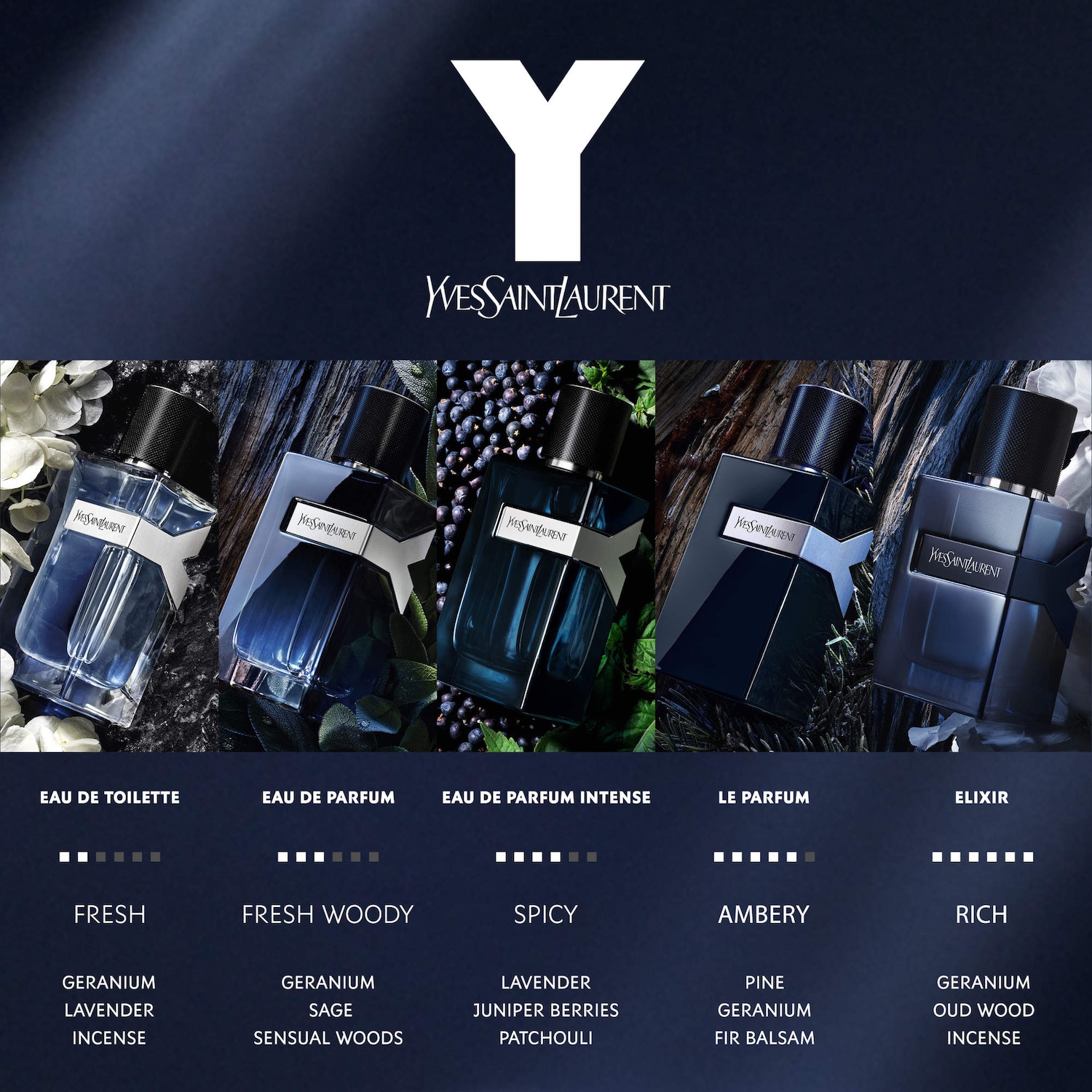 Y Eau de Parfum Intense with Spicy Juniper Berries & Fresh