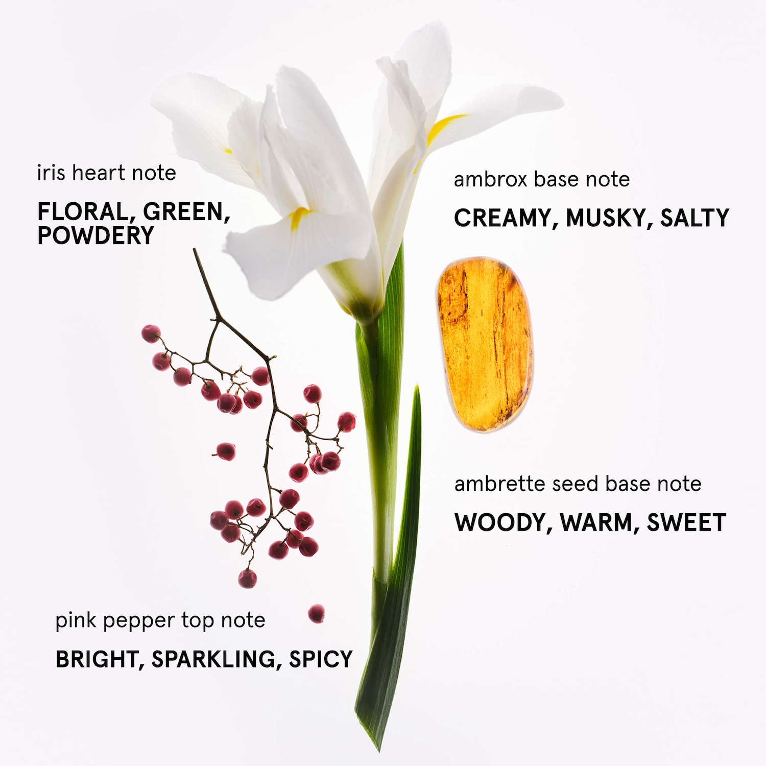 グロッシアーユーpurin グロッシアーユーpurin グロッシアーユーpurin Amazon.com