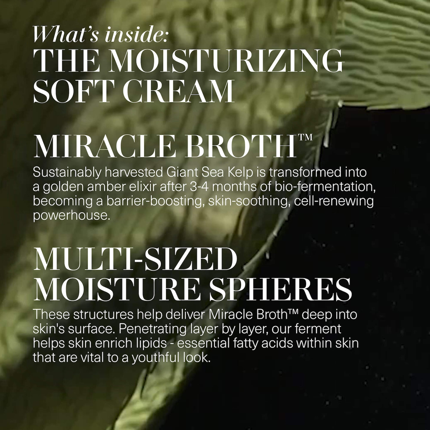 Sephora