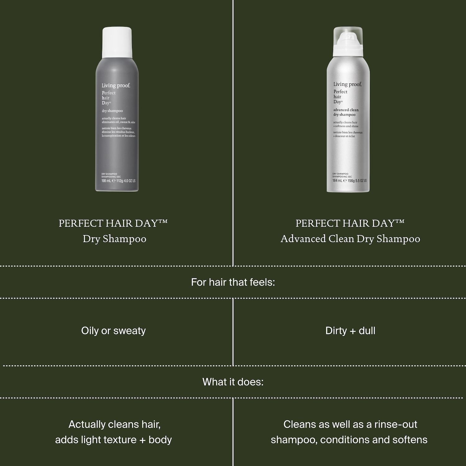 Shampoing sec Perfect Hair Day