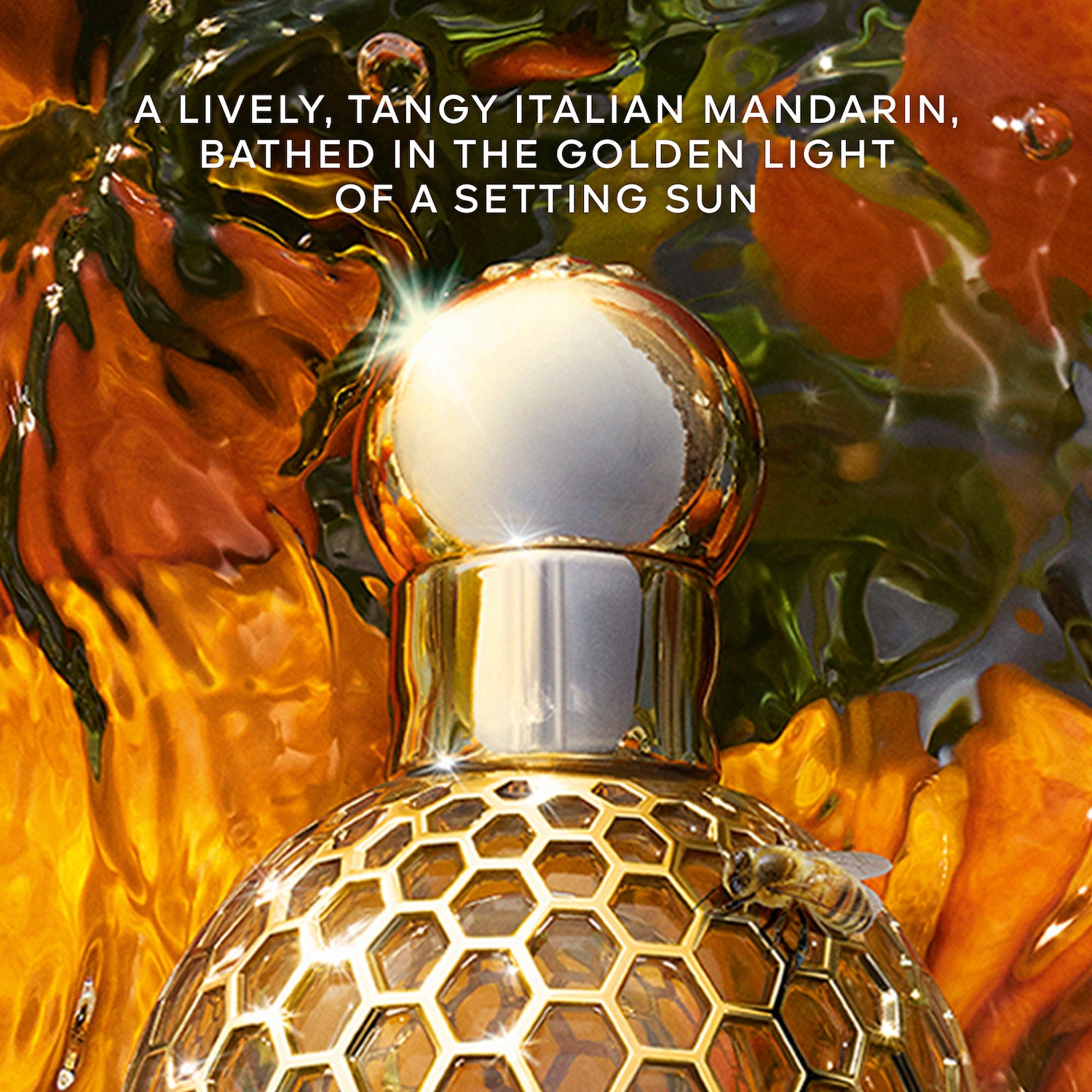 Aqua Allegoria Mandarine Basilic Forte Eau de Parfum - GUERLAIN