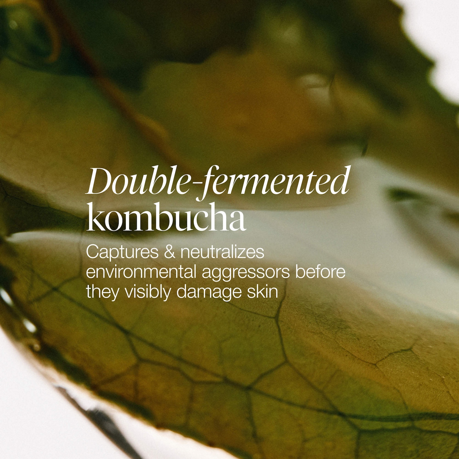 Kombucha Antioxidant Facial Treatment Essence