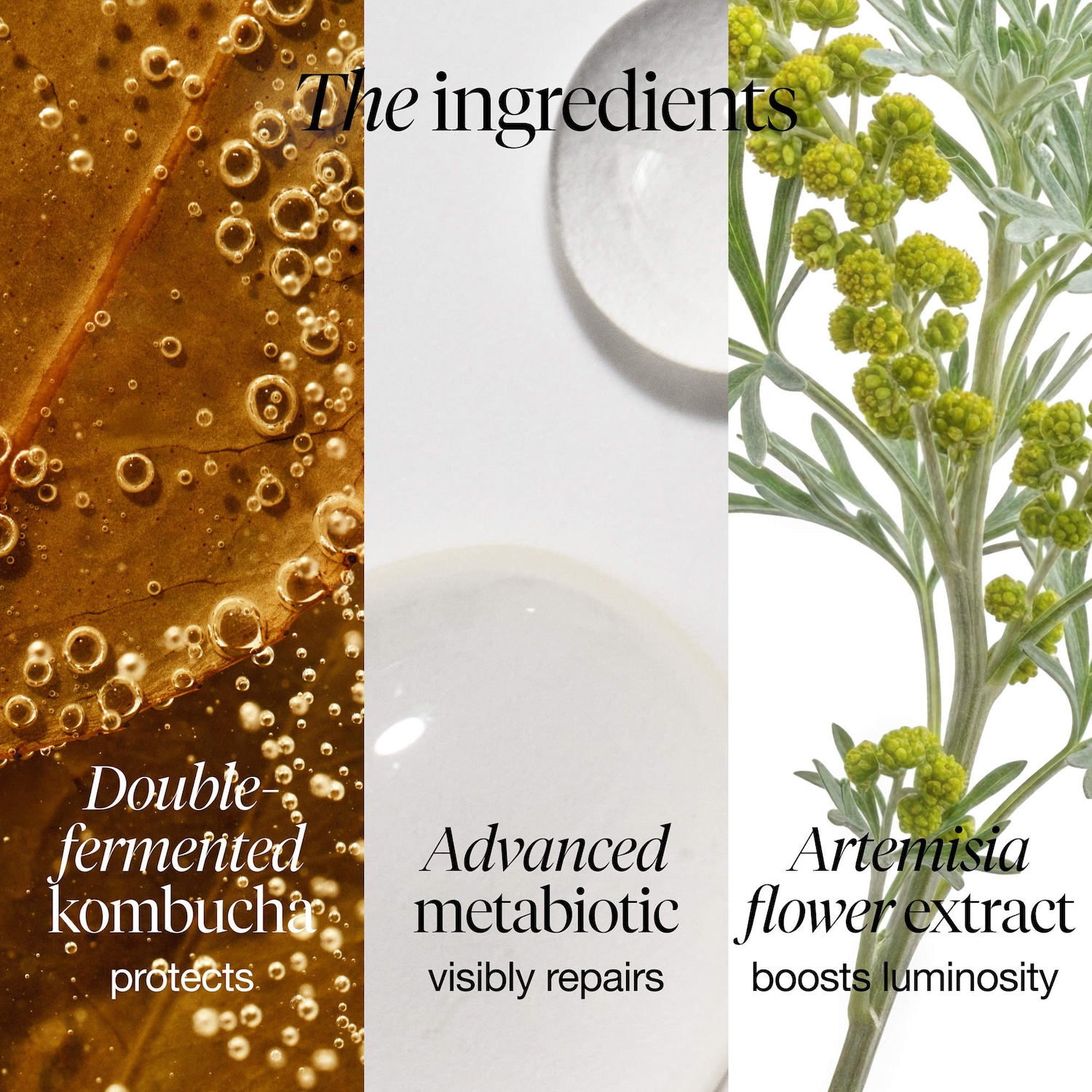 Kombucha Antioxidant Facial Treatment Essence
