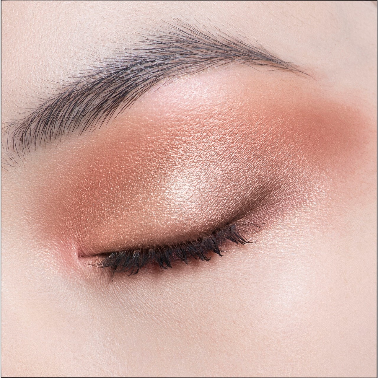 Diorshow 5 Couleurs Couture Eyeshadow Palette