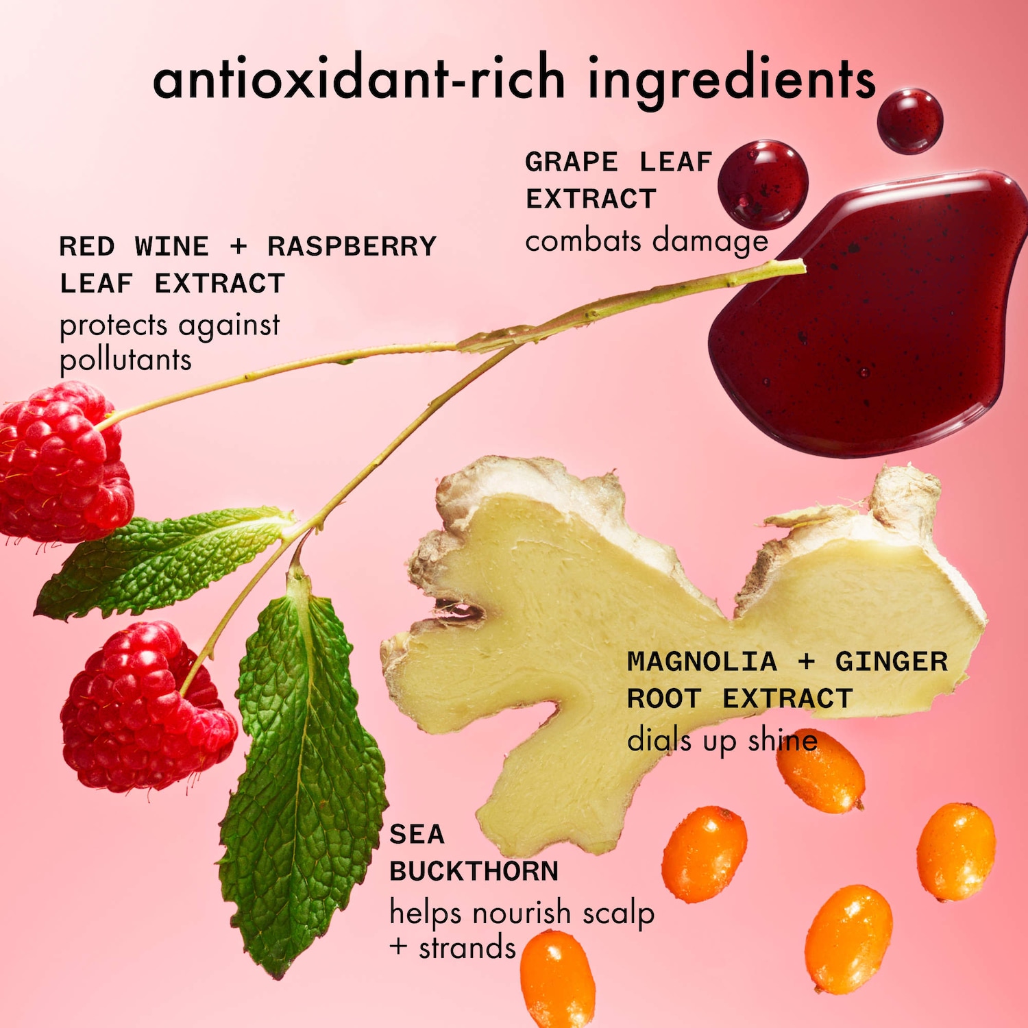 Mirrorball High Shine + Protect Antioxidant Shampoo