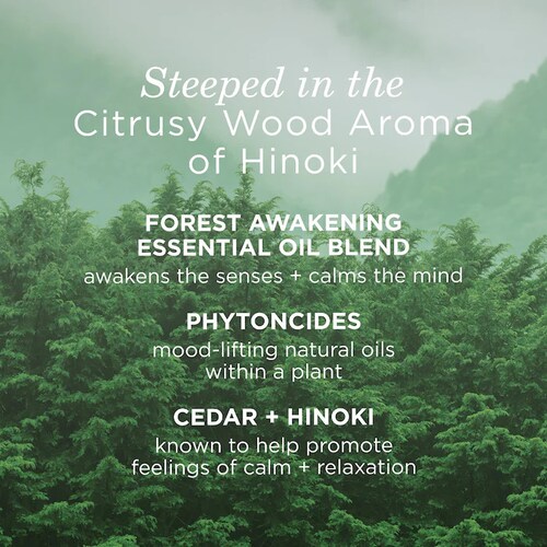 One of the key ingredients in Mini Hinoki Hydrating Body Oil is Hinoki essential oil, derived from the Japanese Hinoki cypress tree. This oil is known for its calming and invigorating properties, making it a perfect addition to a body oil. It helps to relax the mind and senses, promoting overall well-being.