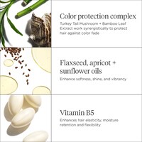 Color Me Brilliant™ Mushroom + Bamboo Color Protect Conditioner